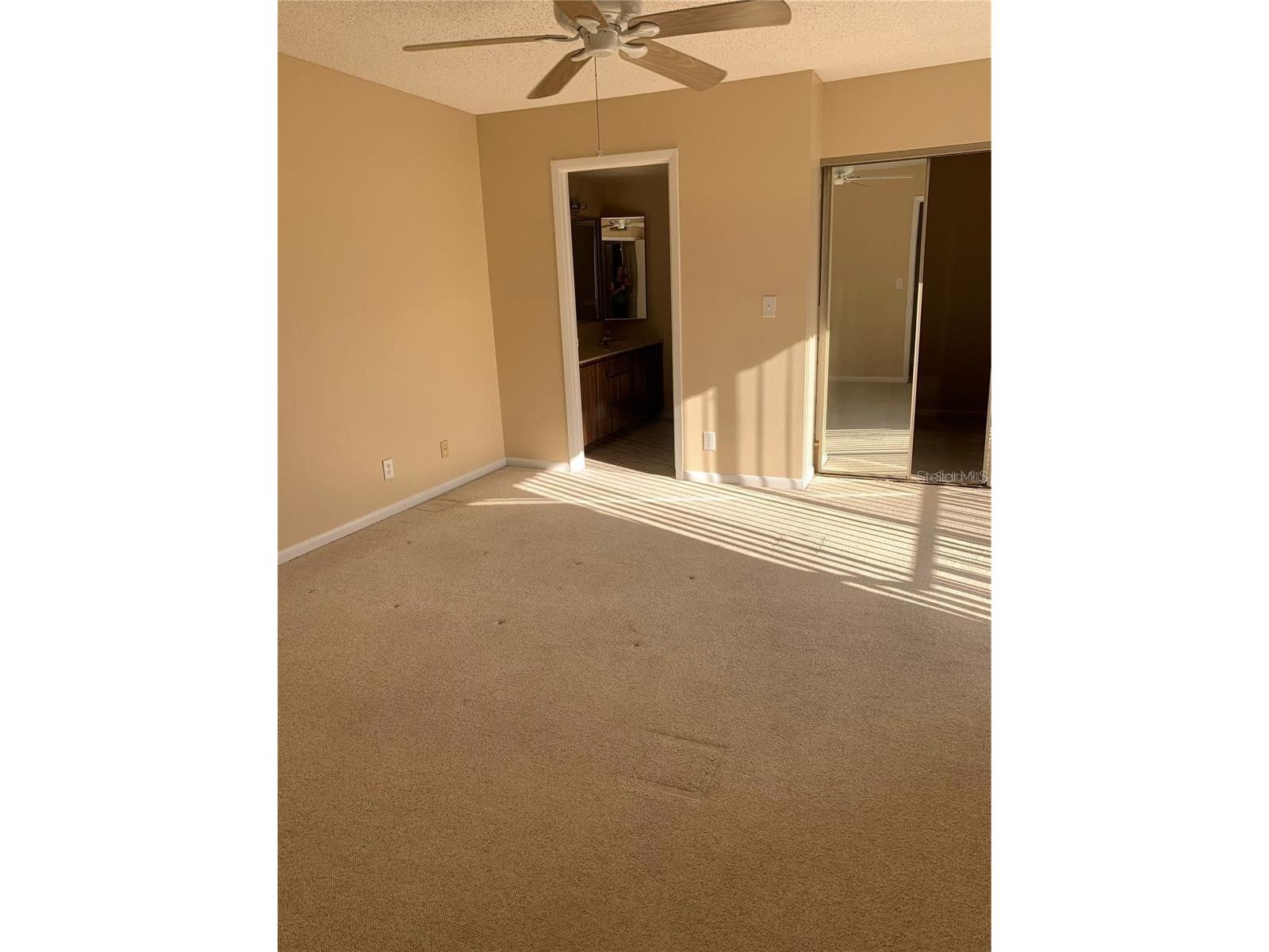 2602 7th Court #15 Palm Harbor FL 34684 TB8518730 image20
