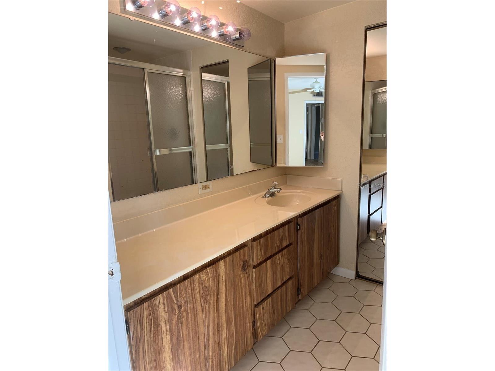 2602 7th Court #15 Palm Harbor FL 34684 TB8518730 image25