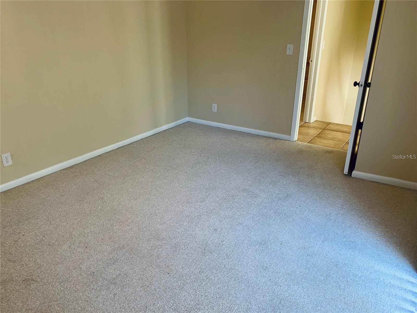 2602 7th Court #15 Palm Harbor FL 34684 TB8518730 image30