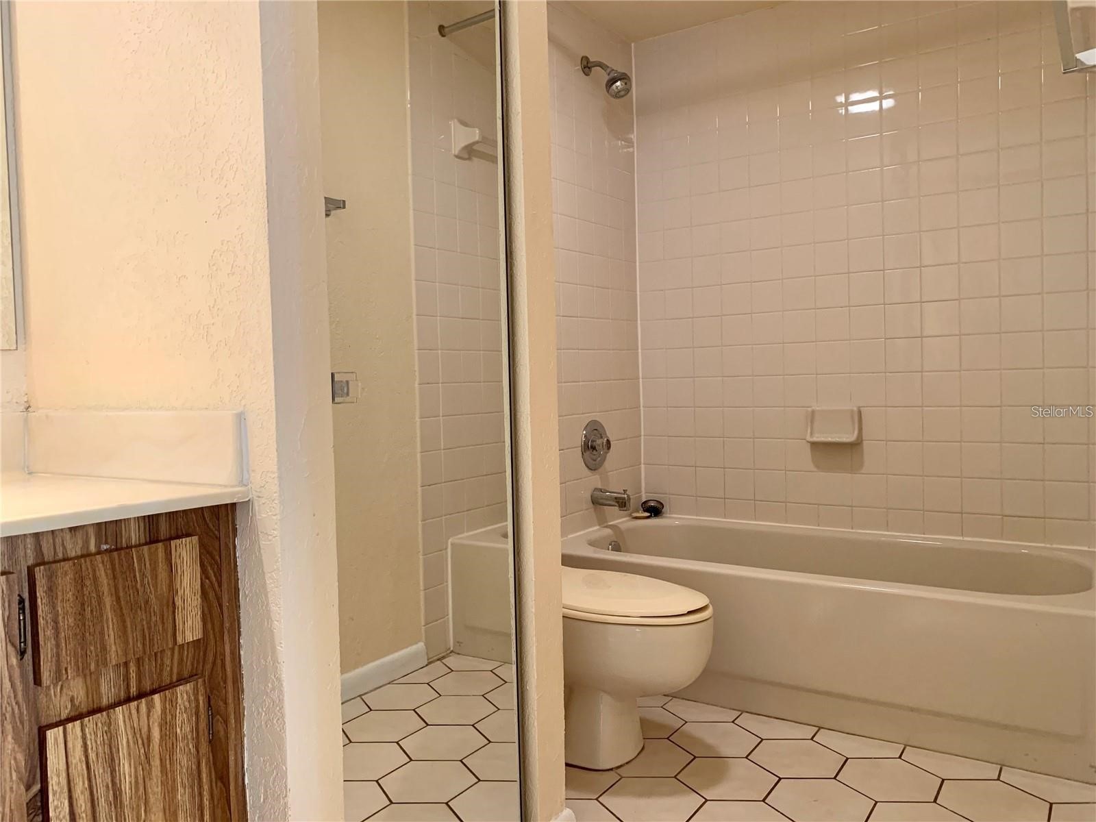 2602 7th Court #15 Palm Harbor FL 34684 TB8518730 image34
