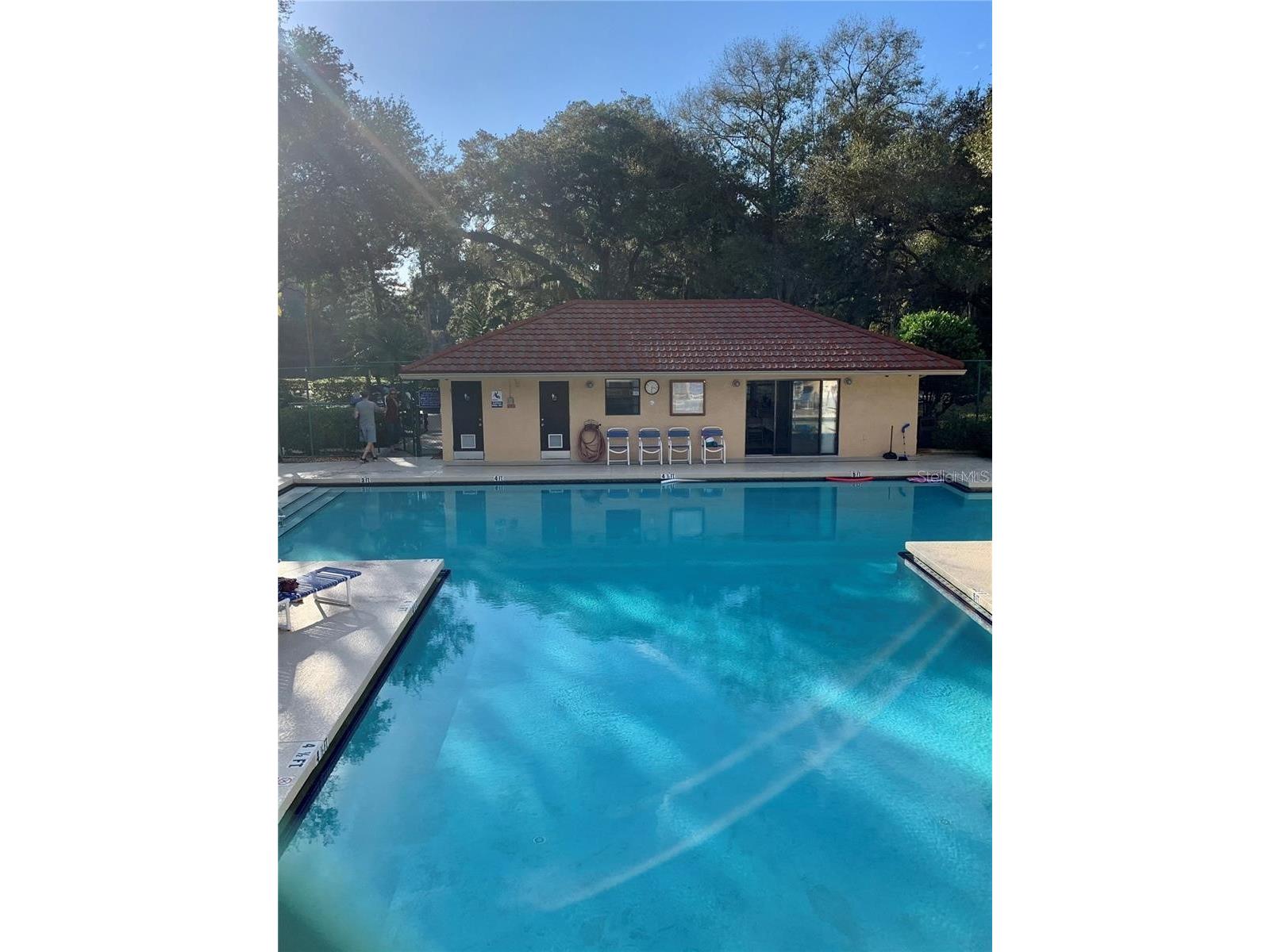 2602 7th Court #15 Palm Harbor FL 34684 TB8518730 image41