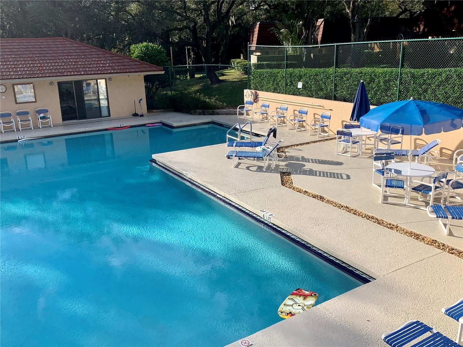 2602 7th Court #15 Palm Harbor FL 34684 TB8518730 image42