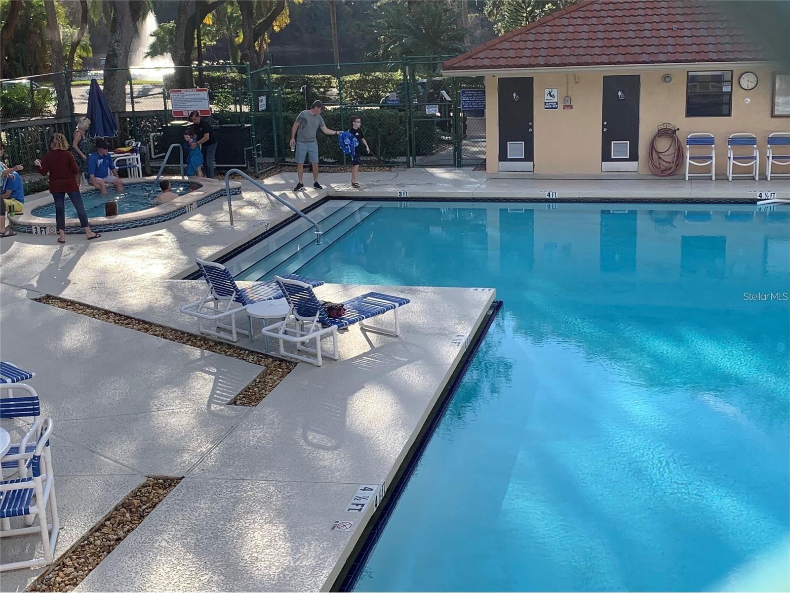 2602 7th Court #15 Palm Harbor FL 34684 TB8518730 image43