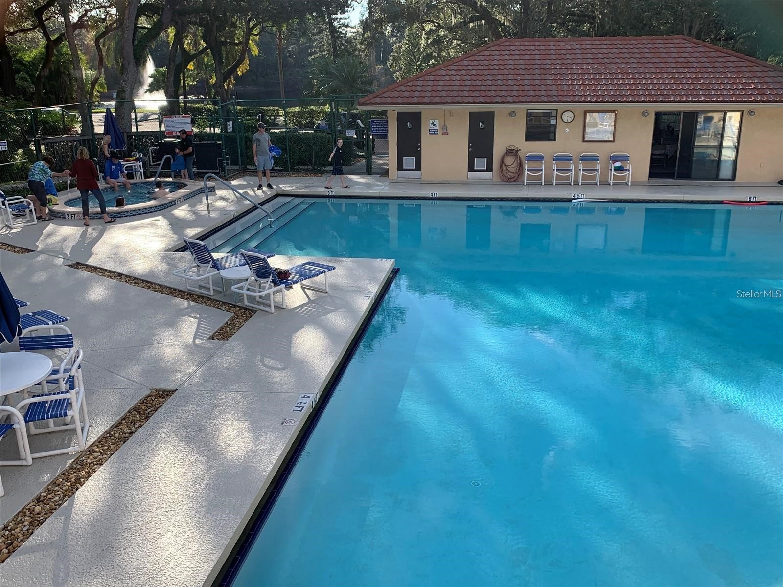 2602 7th Court #15 Palm Harbor FL 34684 TB8518730 image44