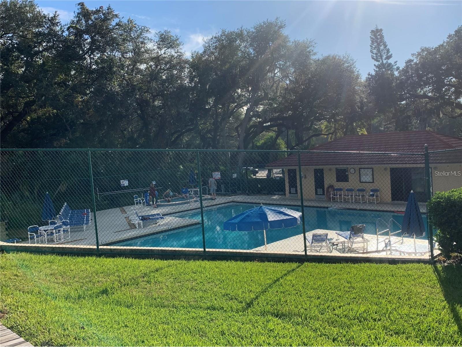 2602 7th Court #15 Palm Harbor FL 34684 TB8518730 image45