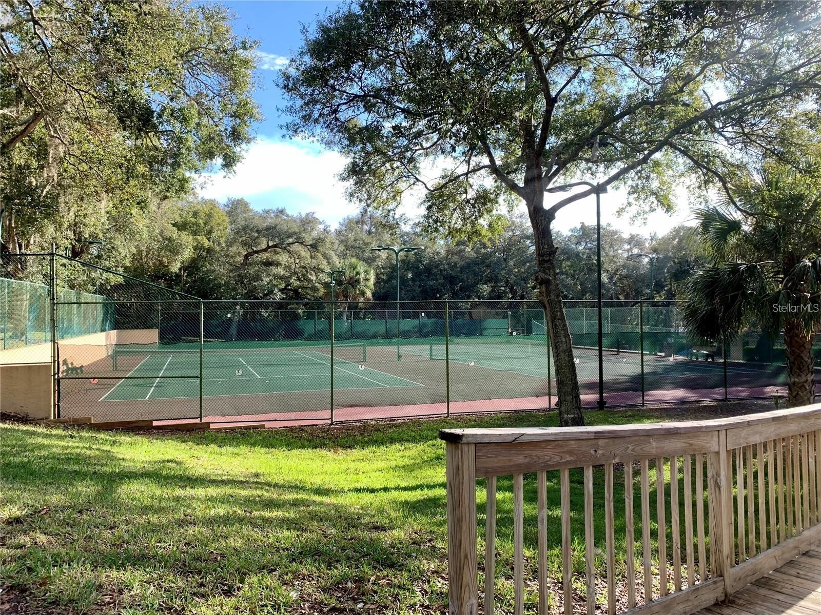 2602 7th Court #15 Palm Harbor FL 34684 TB8518730 image47