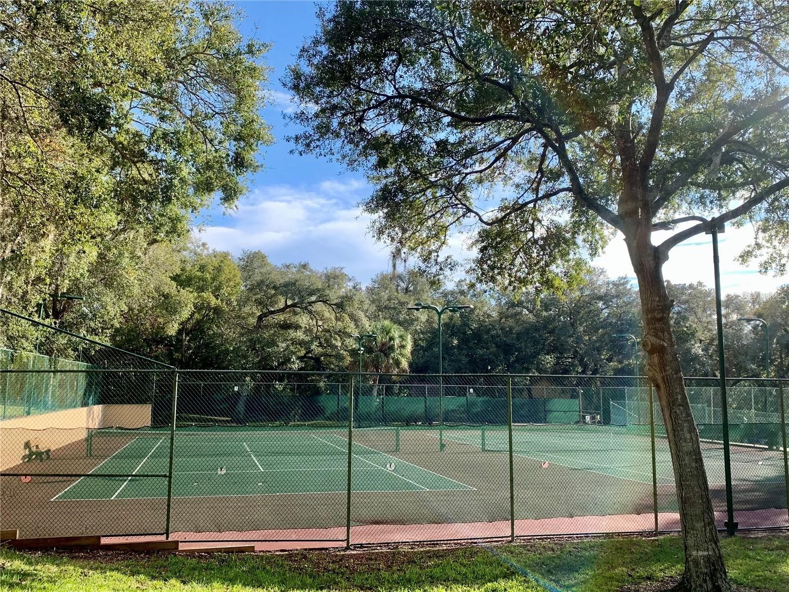2602 7th Court #15 Palm Harbor FL 34684 TB8518730 image48