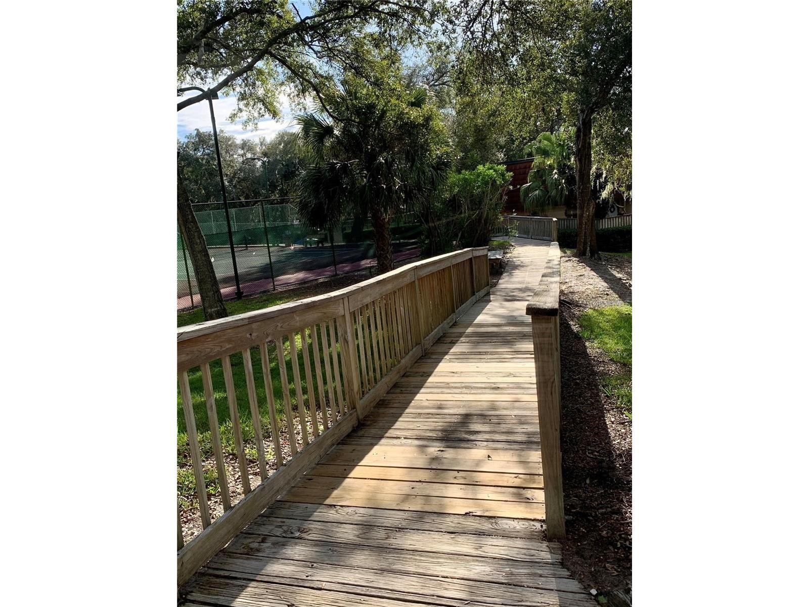 2602 7th Court #15 Palm Harbor FL 34684 TB8518730 image49