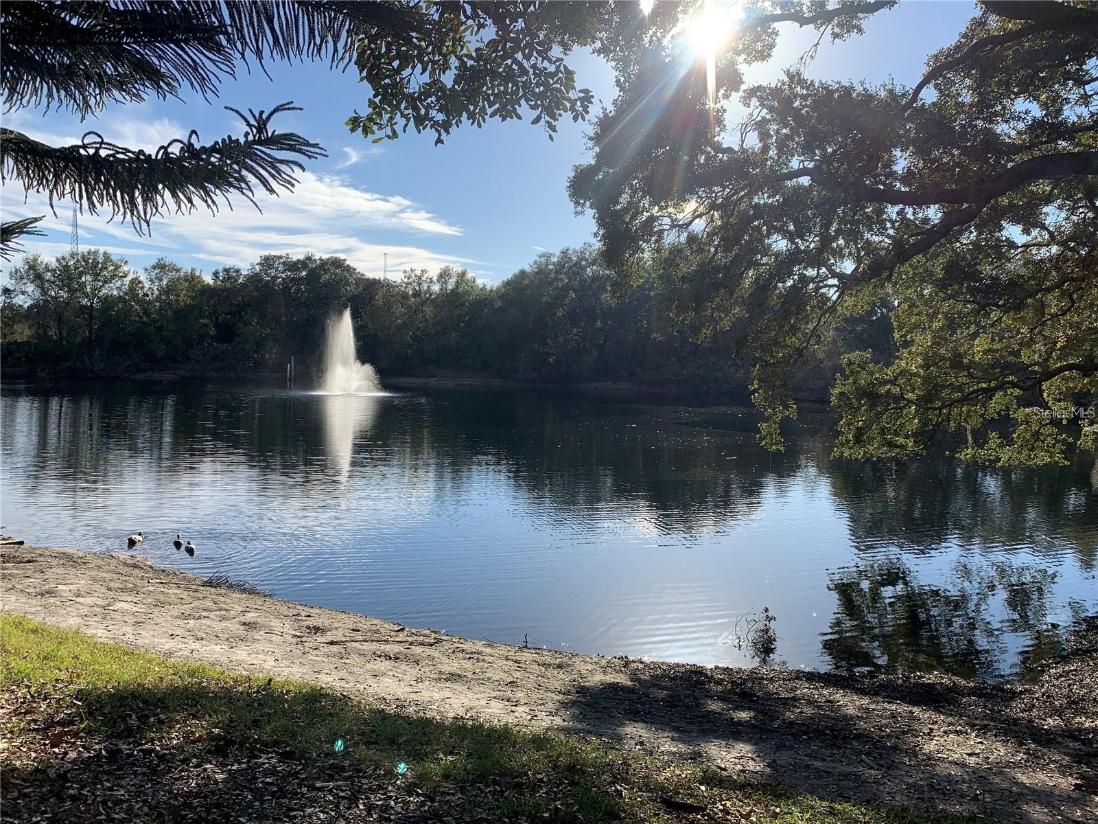 2602 7th Court #15 Palm Harbor FL 34684 TB8518730 image55