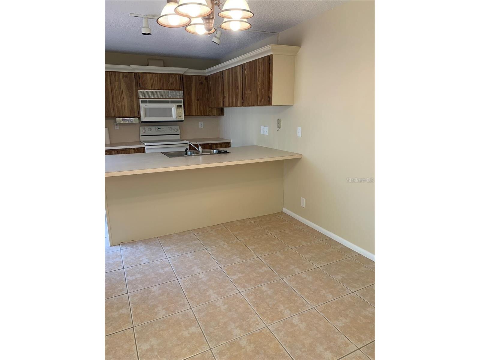 2602 7th Court #15 Palm Harbor FL 34684 TB8518730 image7