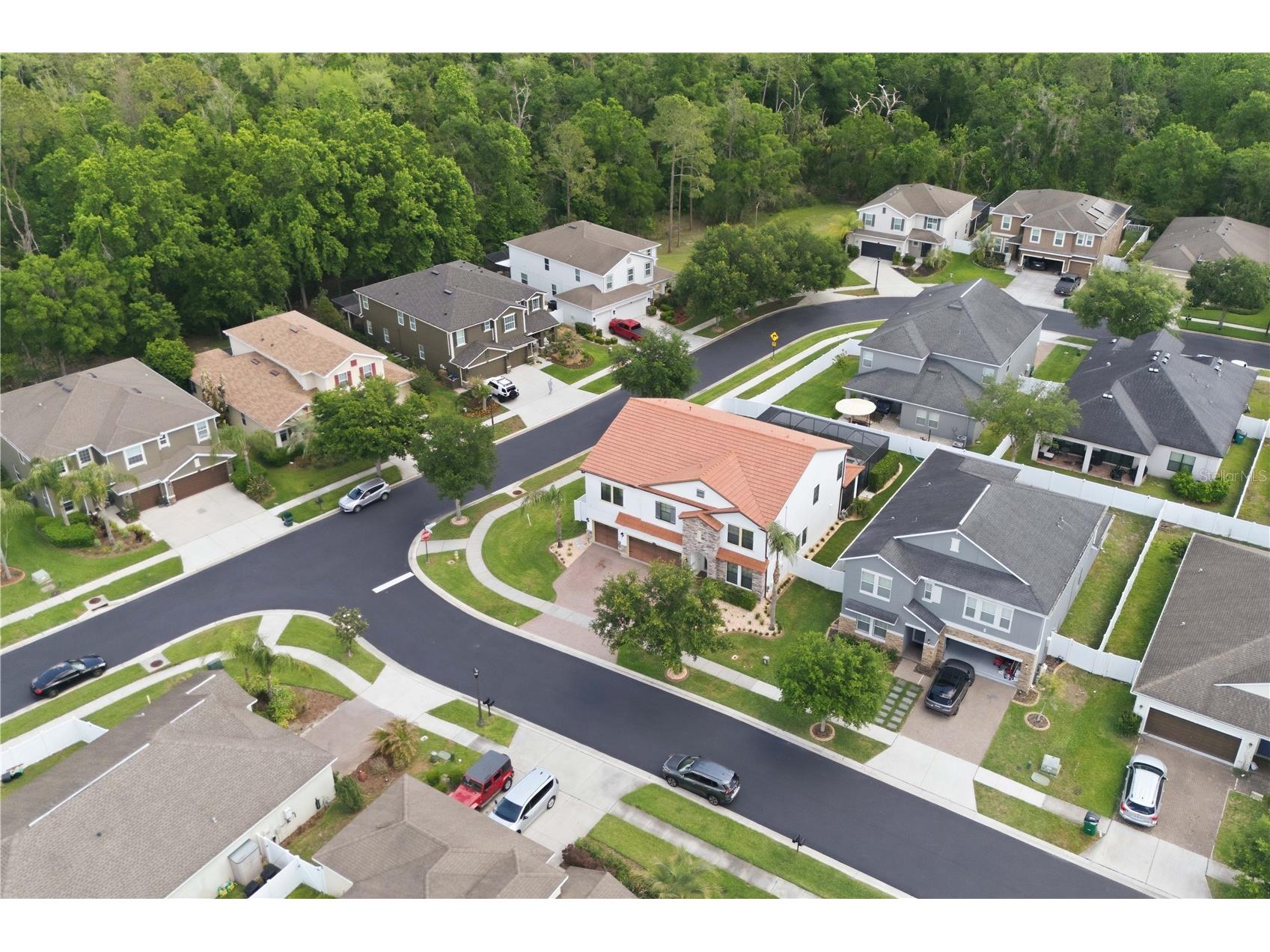 2602 Bartolo Drive Land O Lakes FL 34639 TB8497321 image47