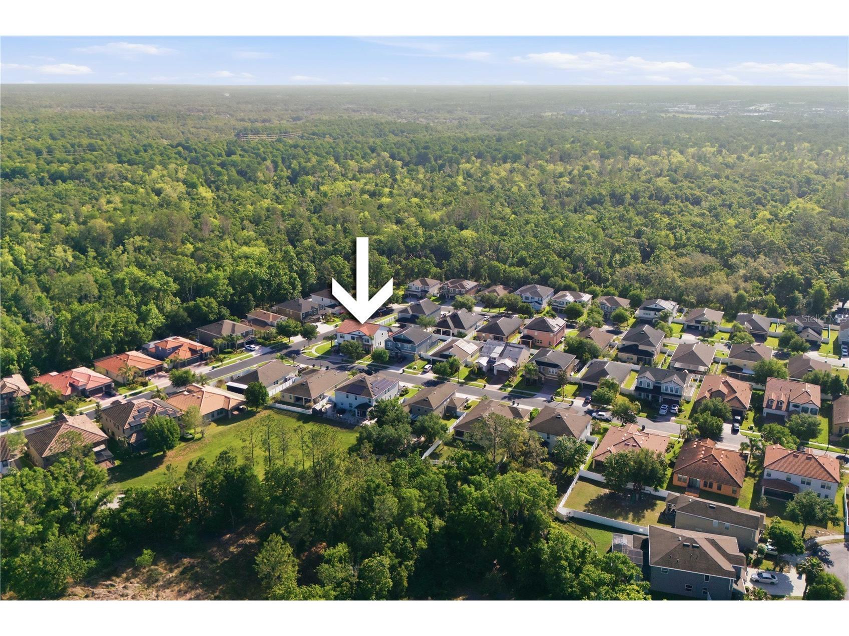 2602 Bartolo Drive Land O Lakes FL 34639 TB8497321 image50