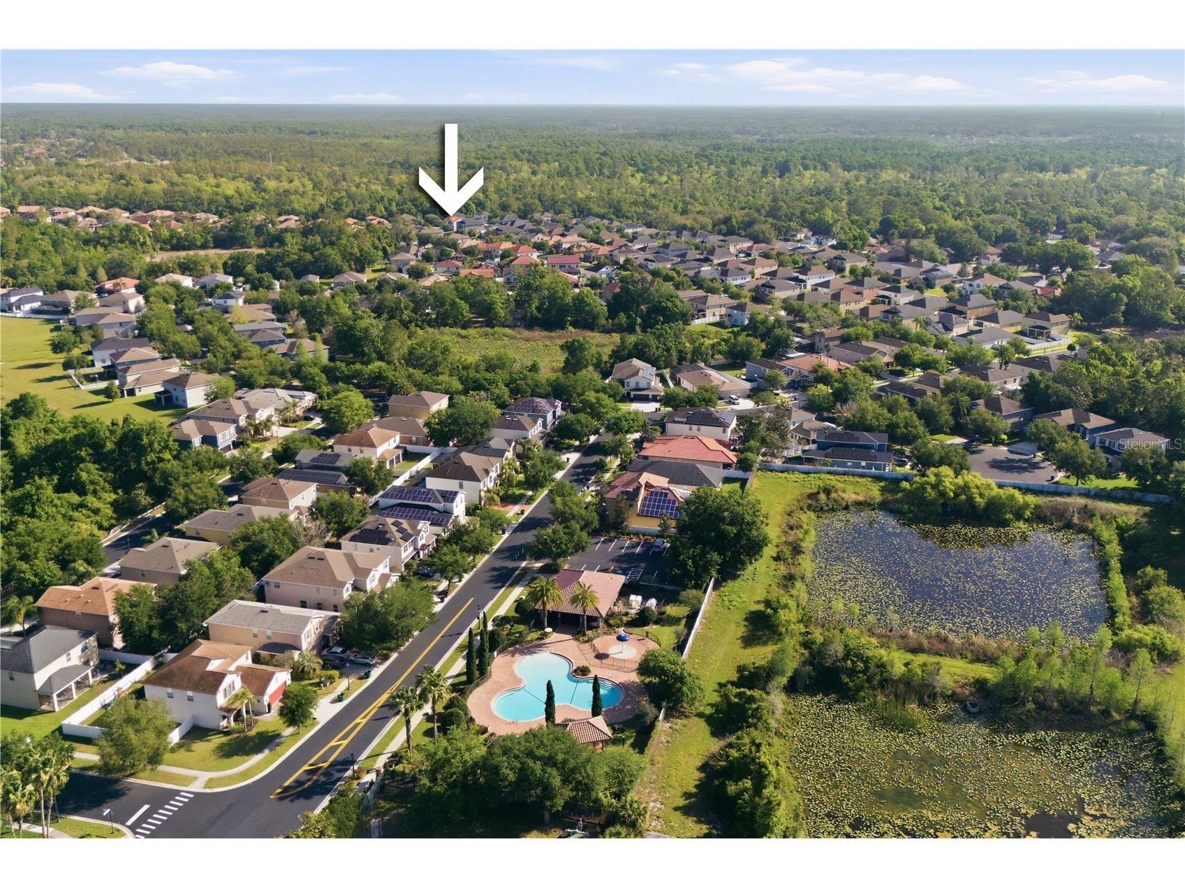 2602 Bartolo Drive Land O Lakes FL 34639 TB8497321 image53