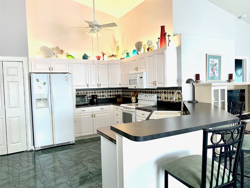 2602 Edgewater Court Palmetto FL 34221 A4519295 image6