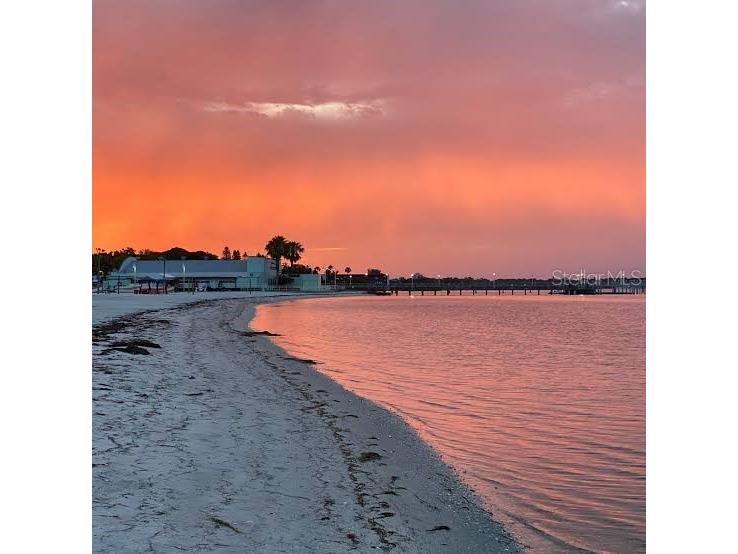 2602 Upton Street S Gulfport FL 33711 TB8520823 image36