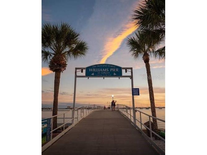 2602 Upton Street S Gulfport FL 33711 TB8520823 image42