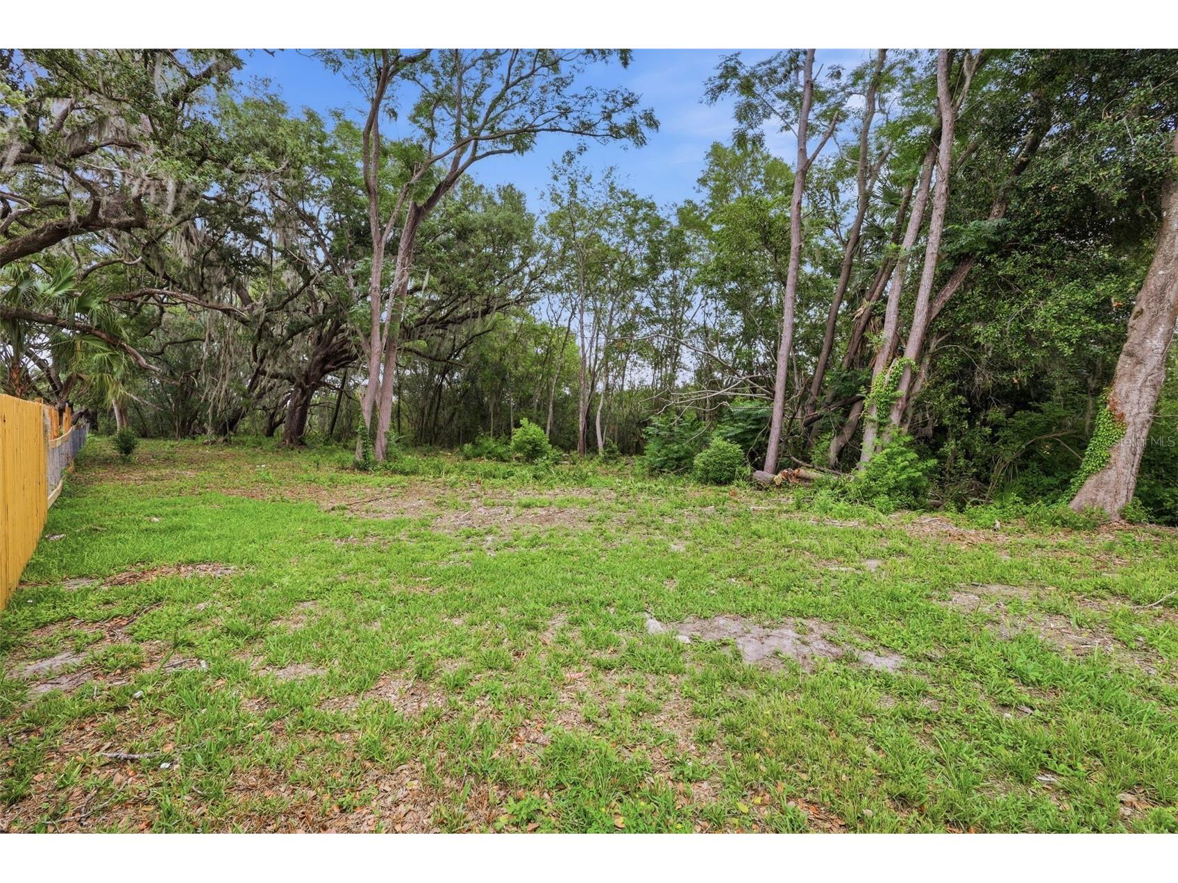 2602 Westside Drive Leesburg FL 34748 O6414236 image43