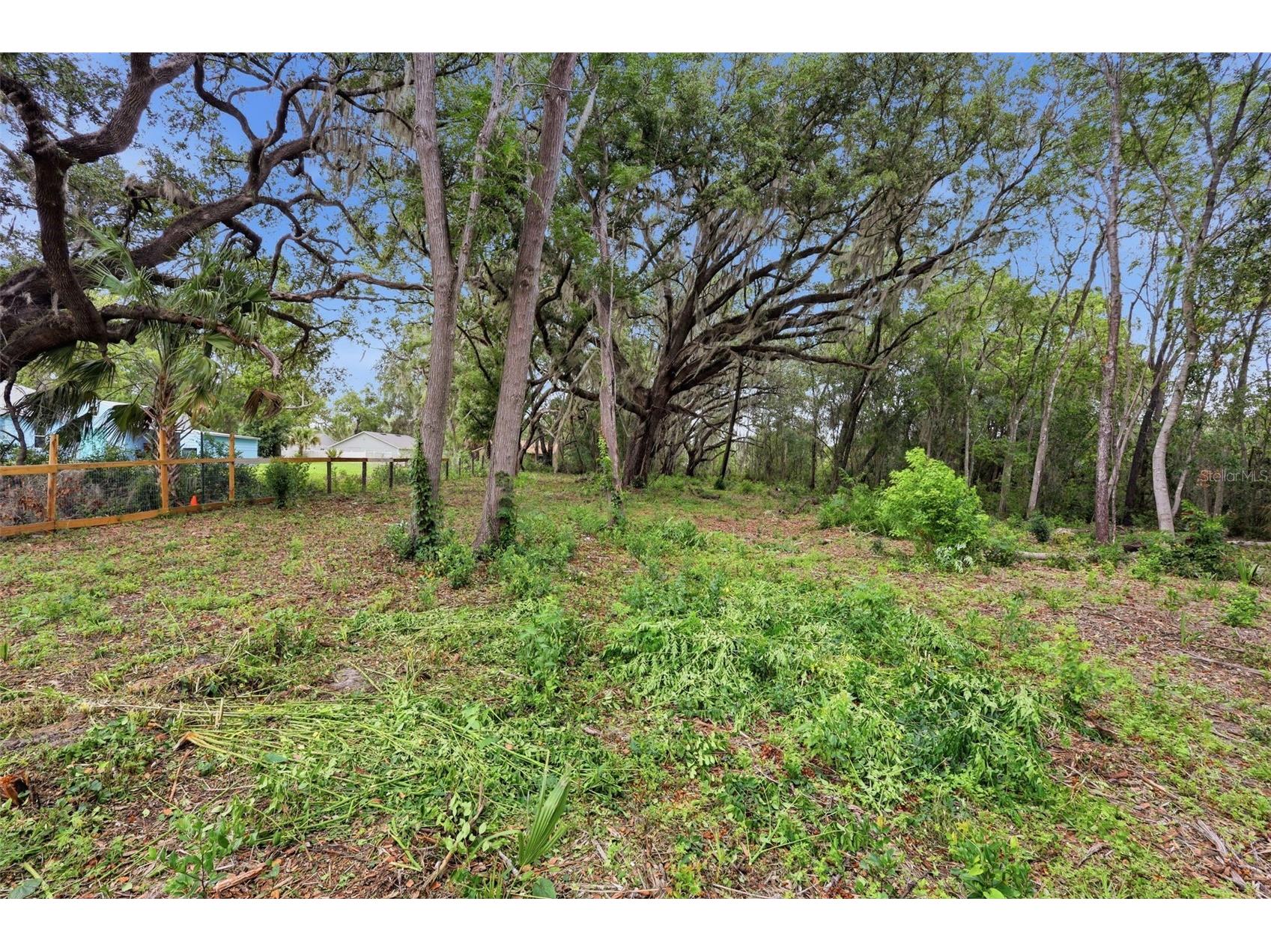 2602 Westside Drive Leesburg FL 34748 O6414236 image44