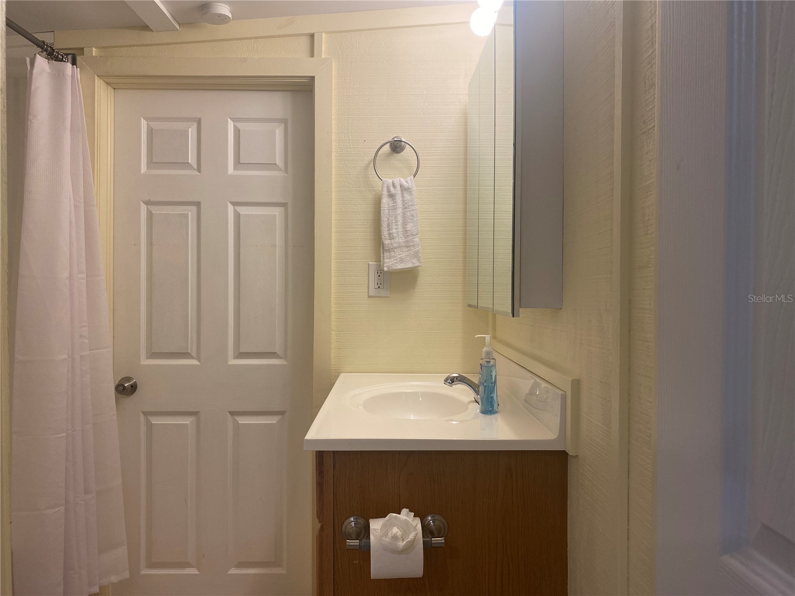 26022 Glasgow Avenue Punta Gorda FL 33950 A4695609 image20