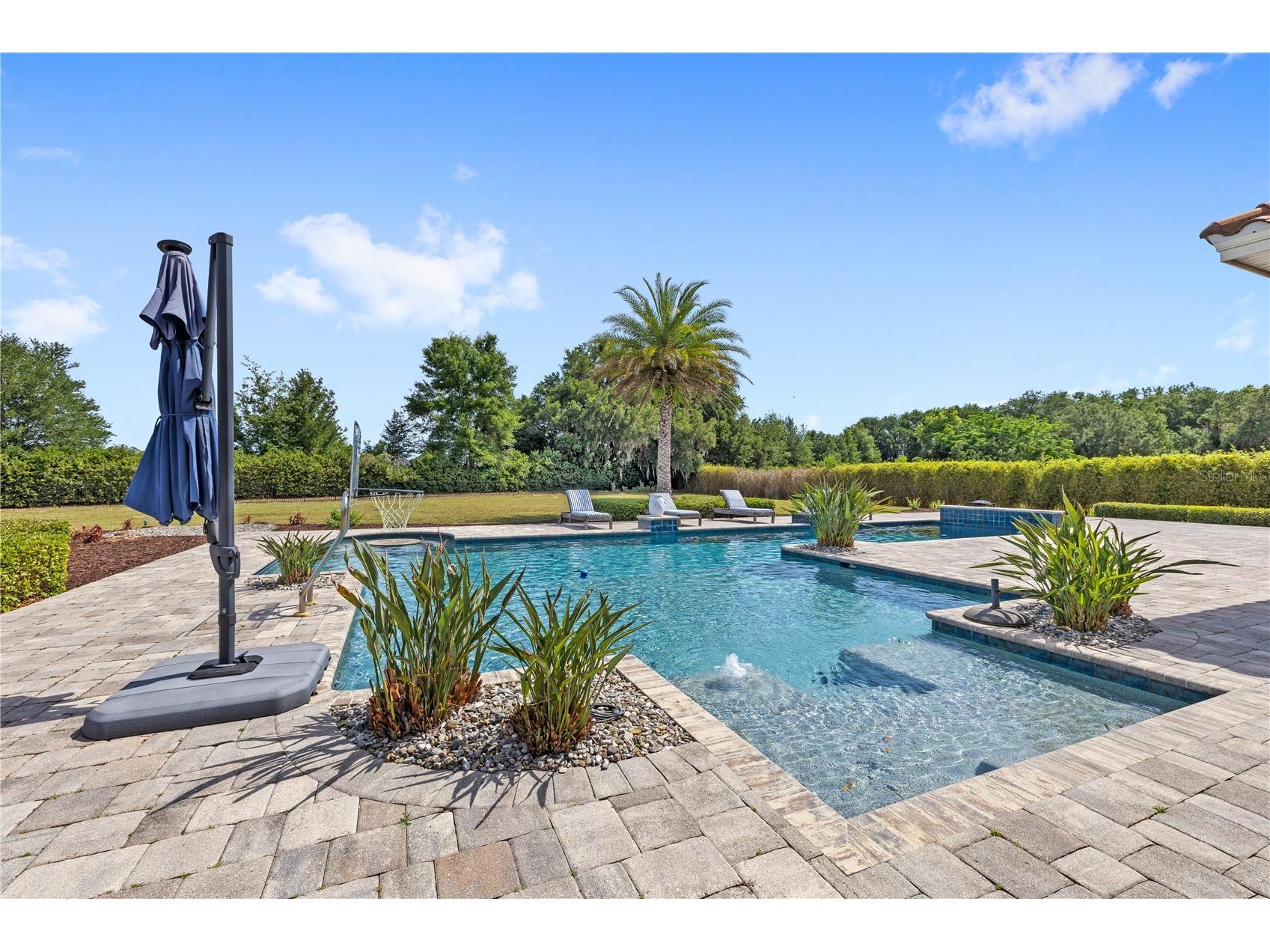 26023 Estates Ridge Drive Sorrento FL 32776 O6403818 image47