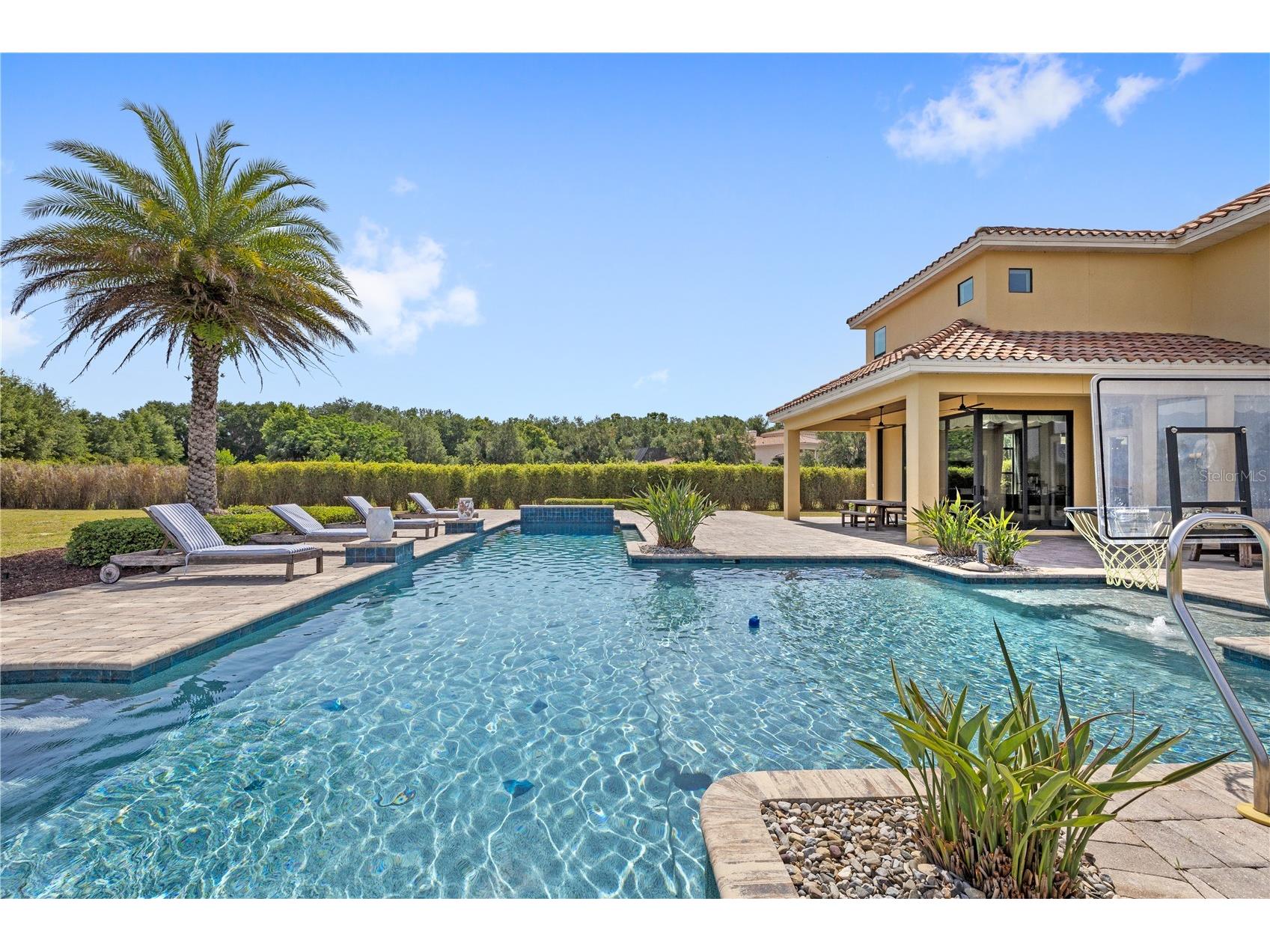 26023 Estates Ridge Drive Sorrento FL 32776 O6403818 image5