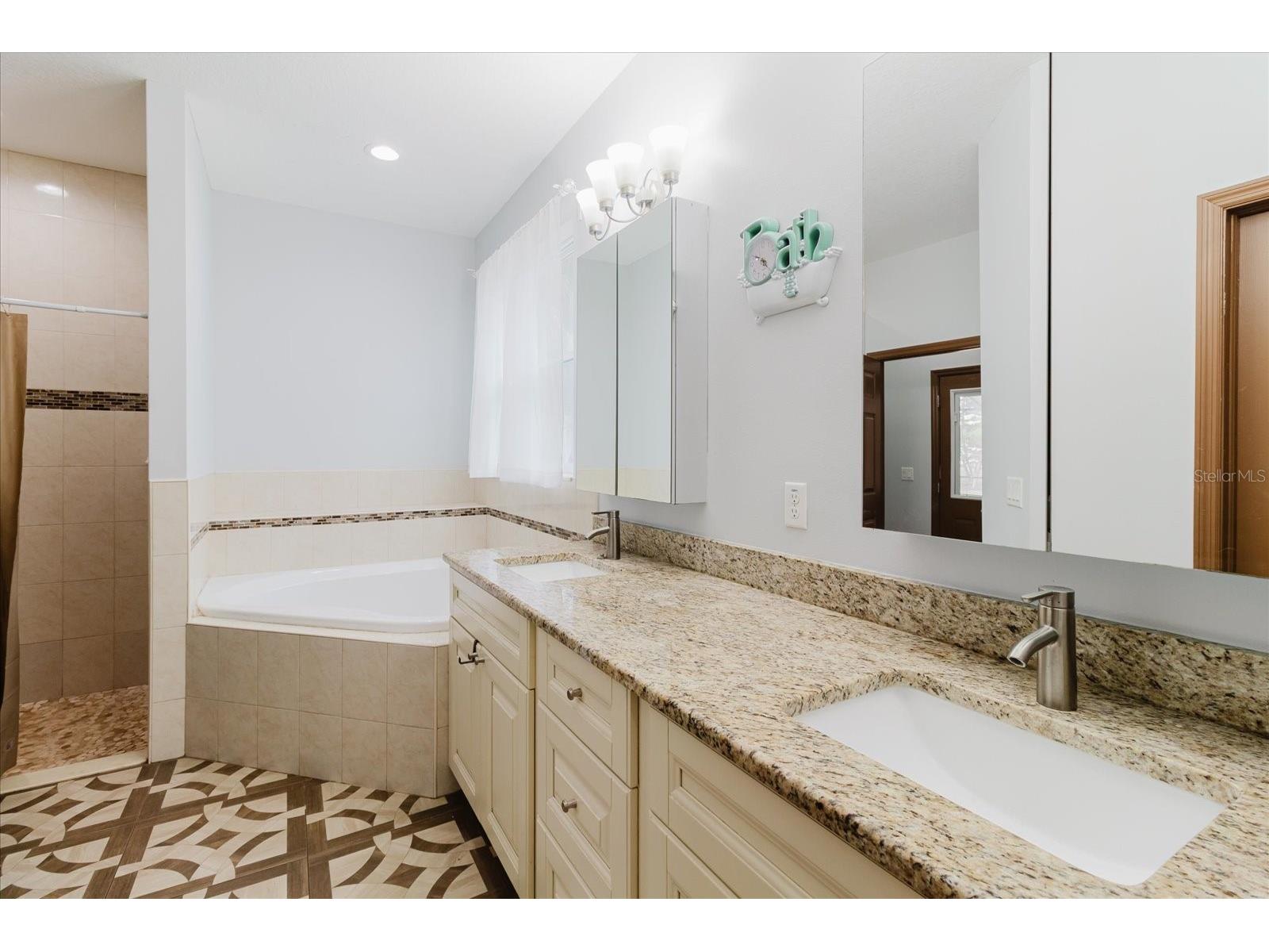 2603 Bismark Drive Valrico FL 33596 TB8496698 image34