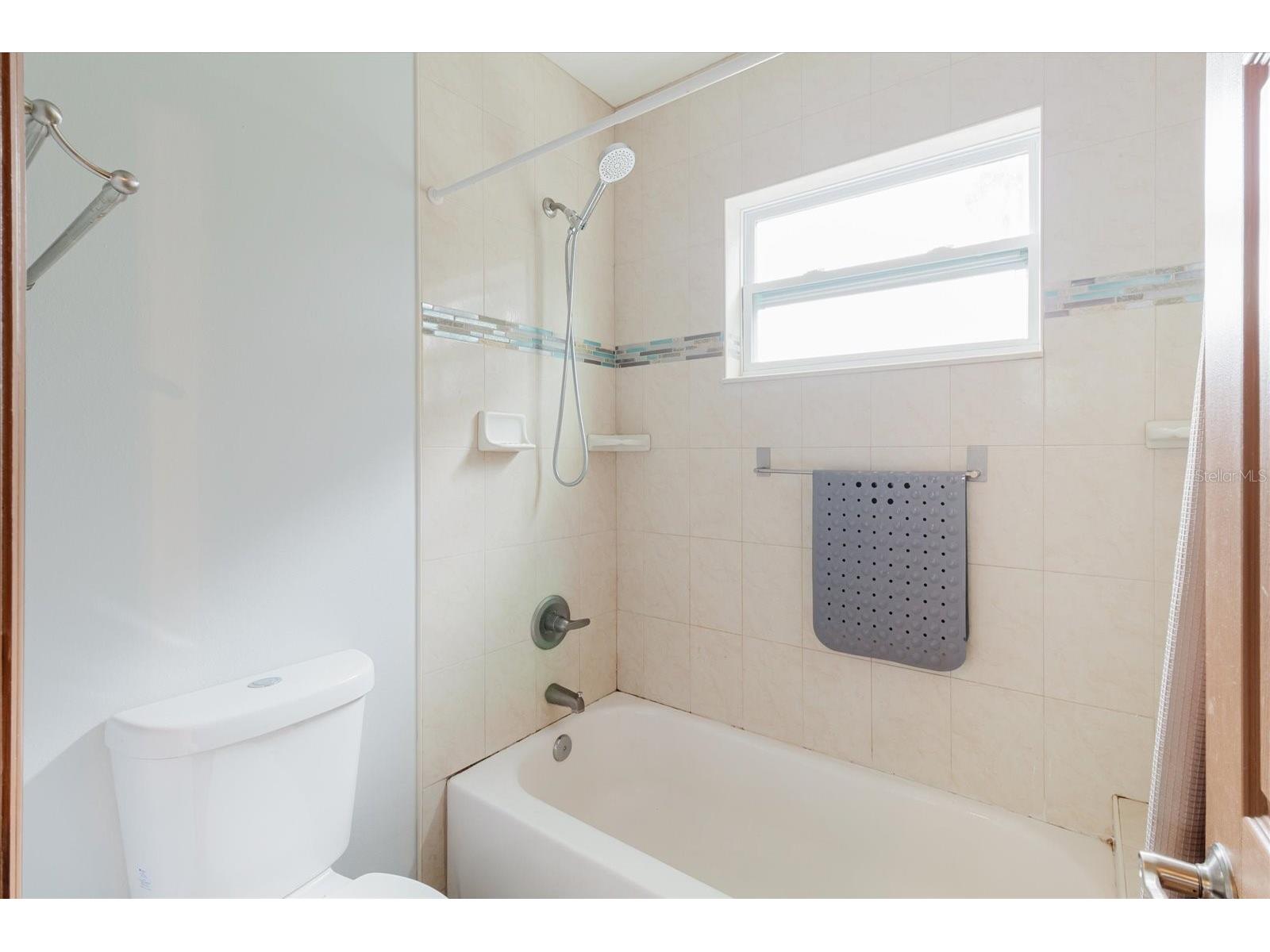 2603 Bismark Drive Valrico FL 33596 TB8496698 image53