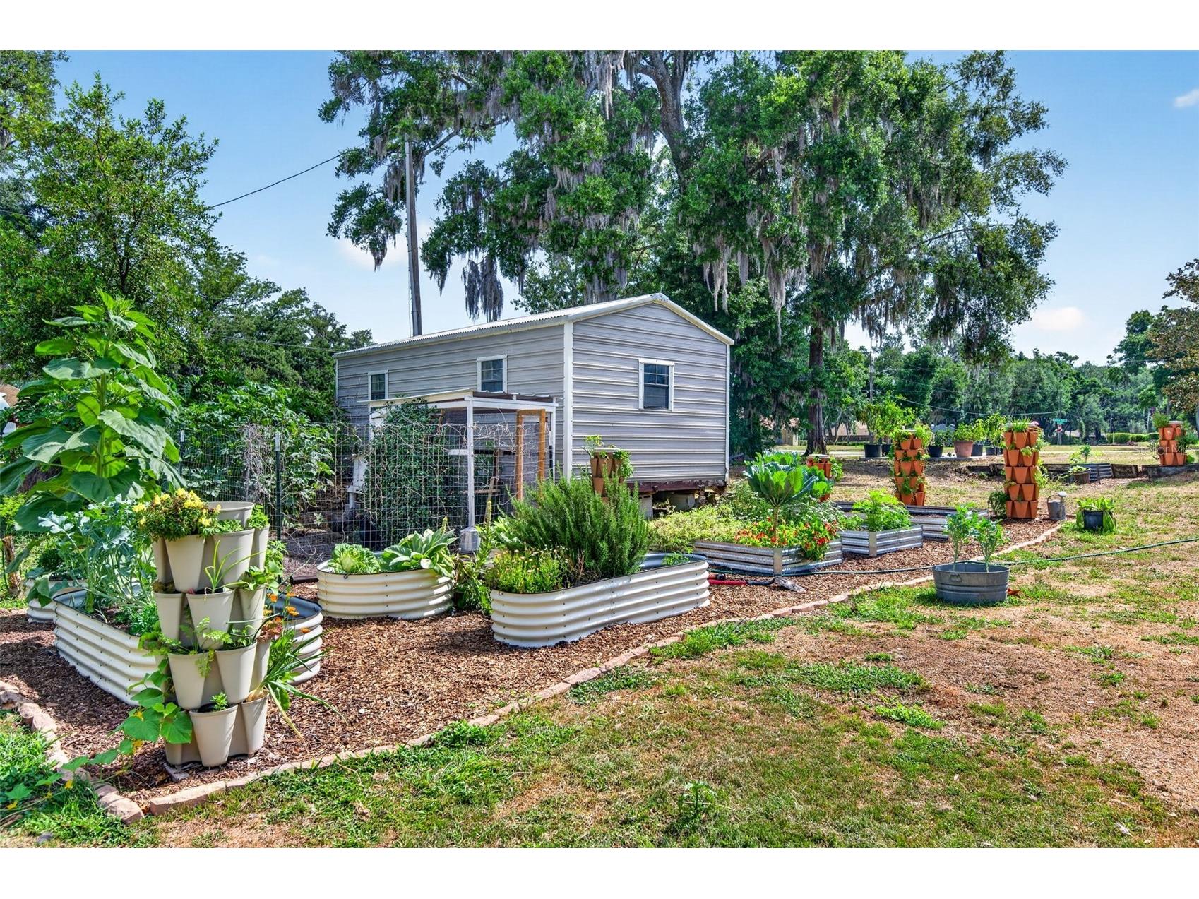 2603 Cathedral Oaks Place Plant City FL 33565 TB8503655 image50
