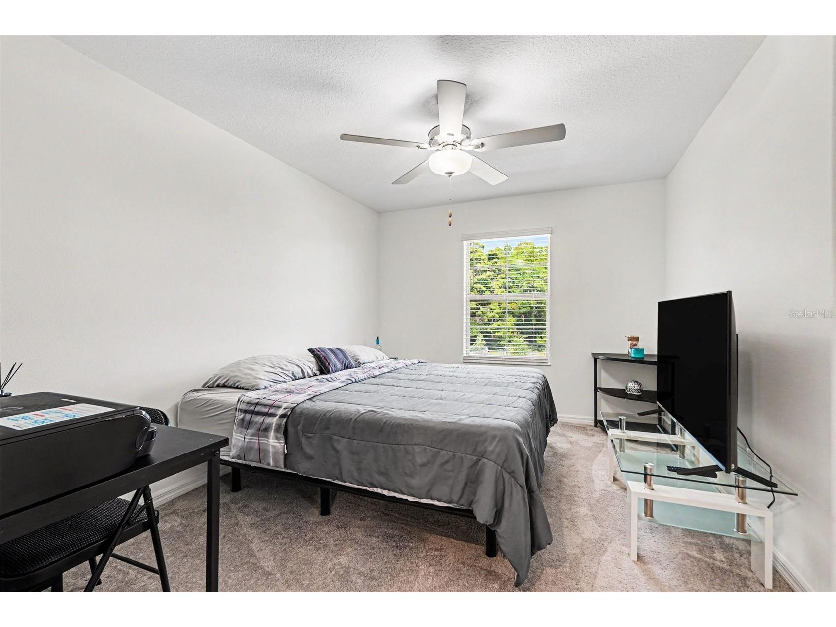 2603 Charlan Court Holiday FL 34690 TB8508236 image25