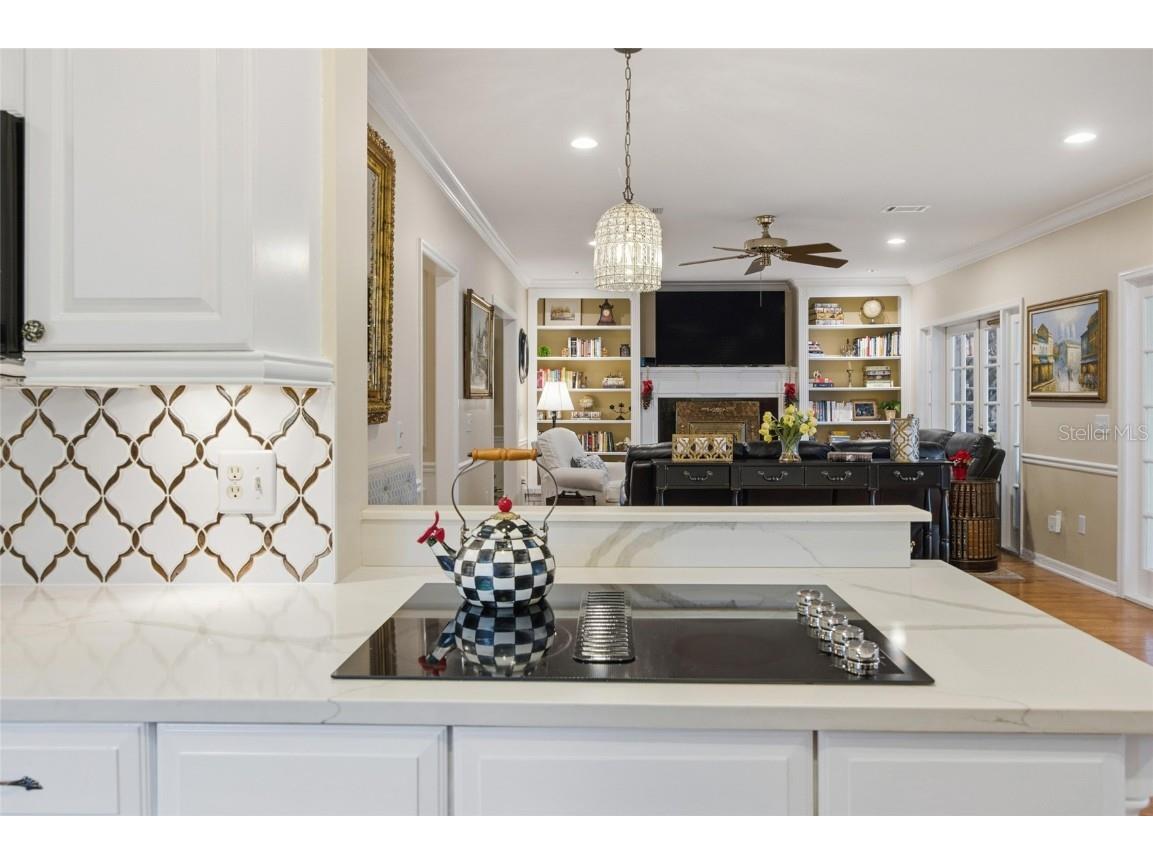 2603 Cozumel Drive Tampa FL 33618 TB8458101 image15