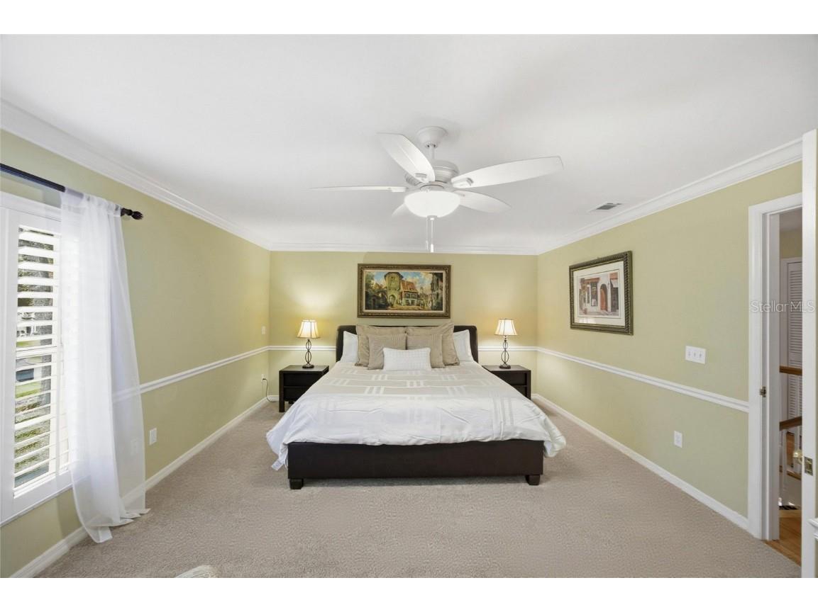 2603 Cozumel Drive Tampa FL 33618 TB8458101 image21