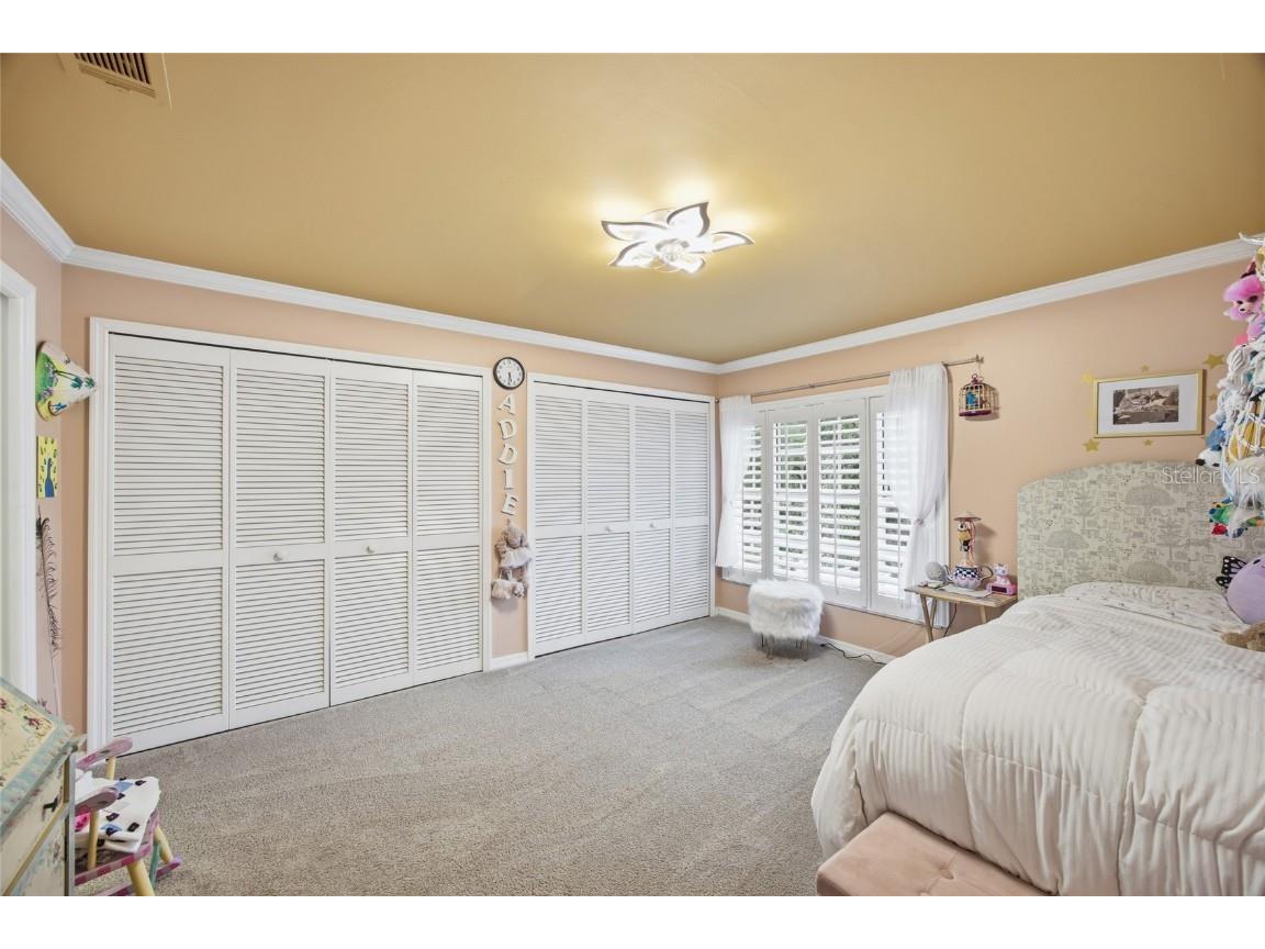 2603 Cozumel Drive Tampa FL 33618 TB8458101 image30