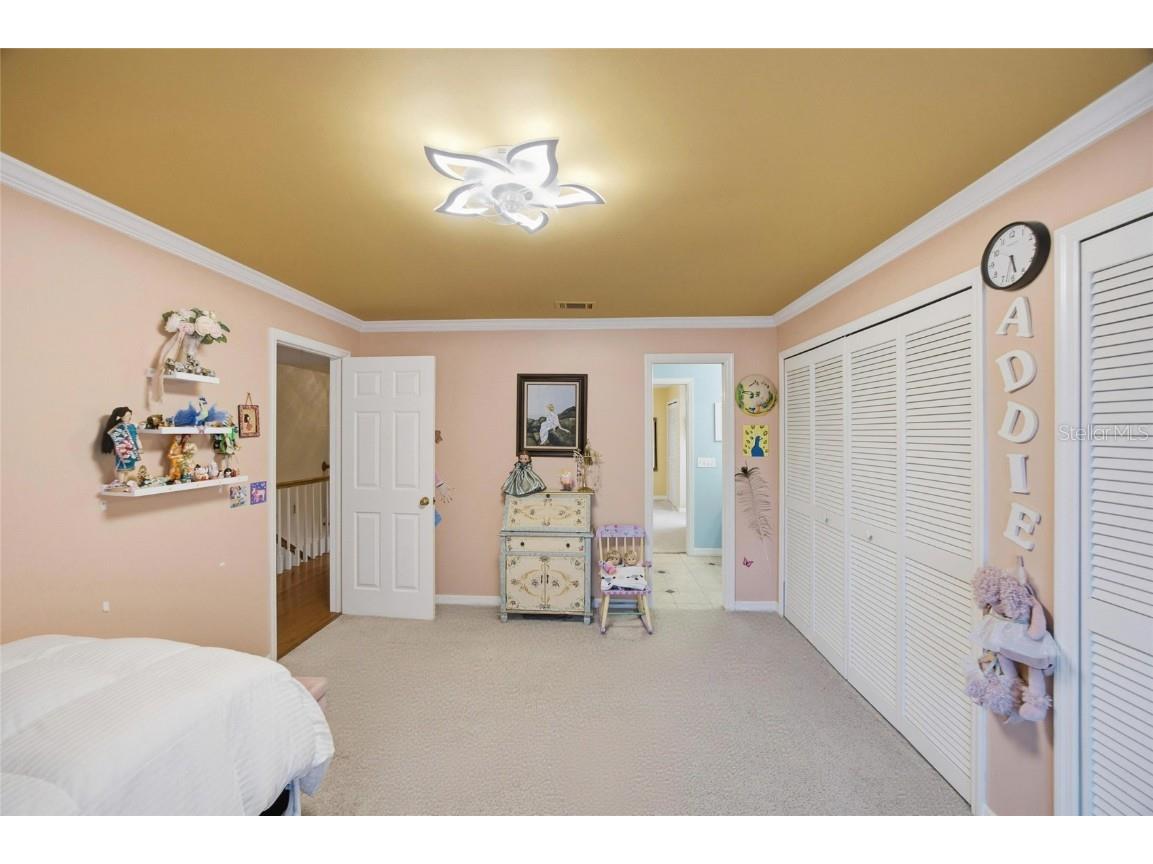 2603 Cozumel Drive Tampa FL 33618 TB8458101 image31