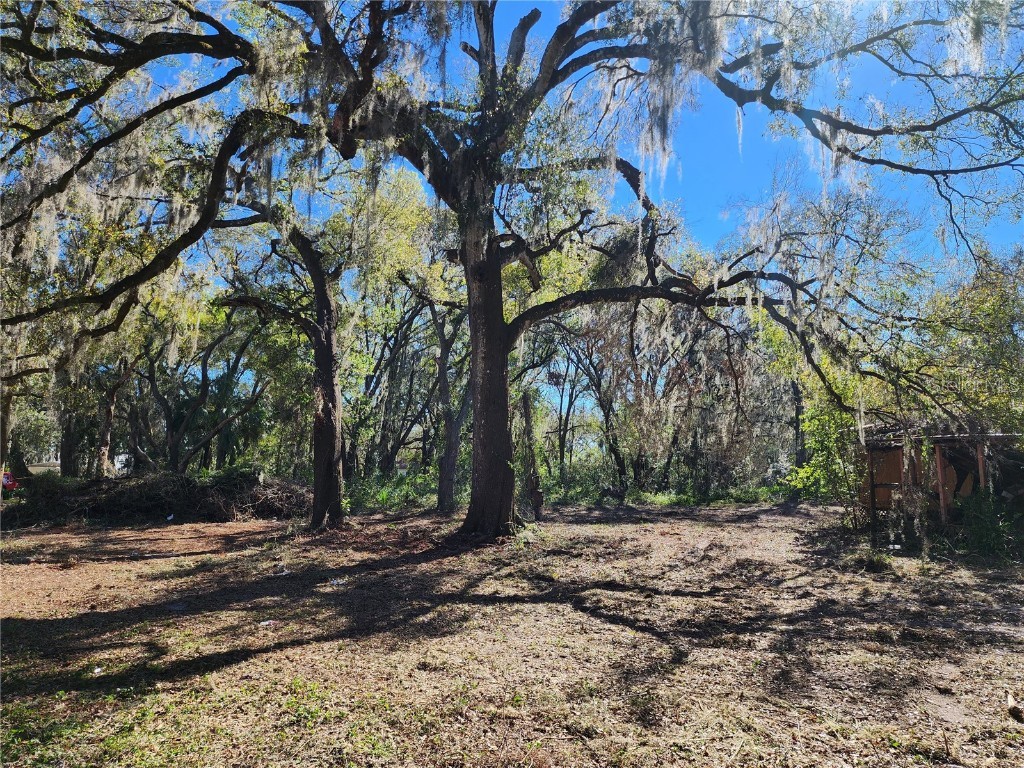 2603 Dell Keen Road Plant City FL 33565 L4935308 image1