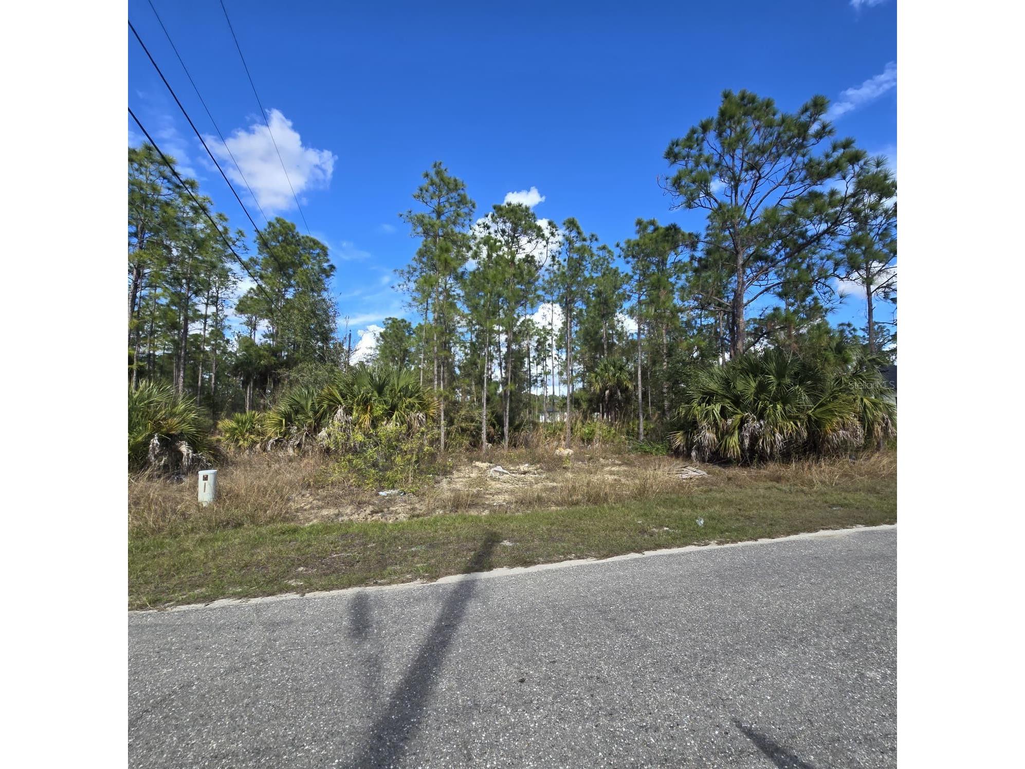 2603 E 13th Street Lehigh Acres FL 33972 O6381926 image1