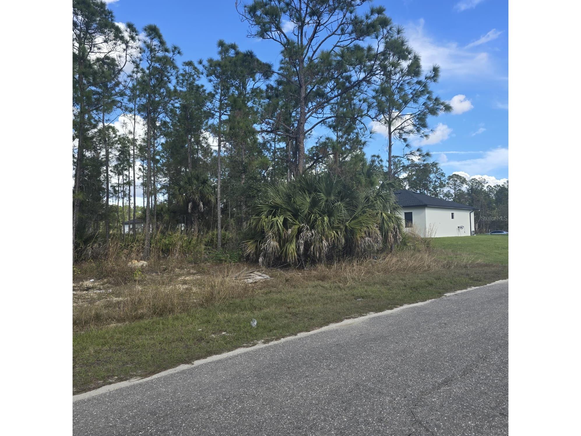 2603 E 13th Street Lehigh Acres FL 33972 O6381926 image2