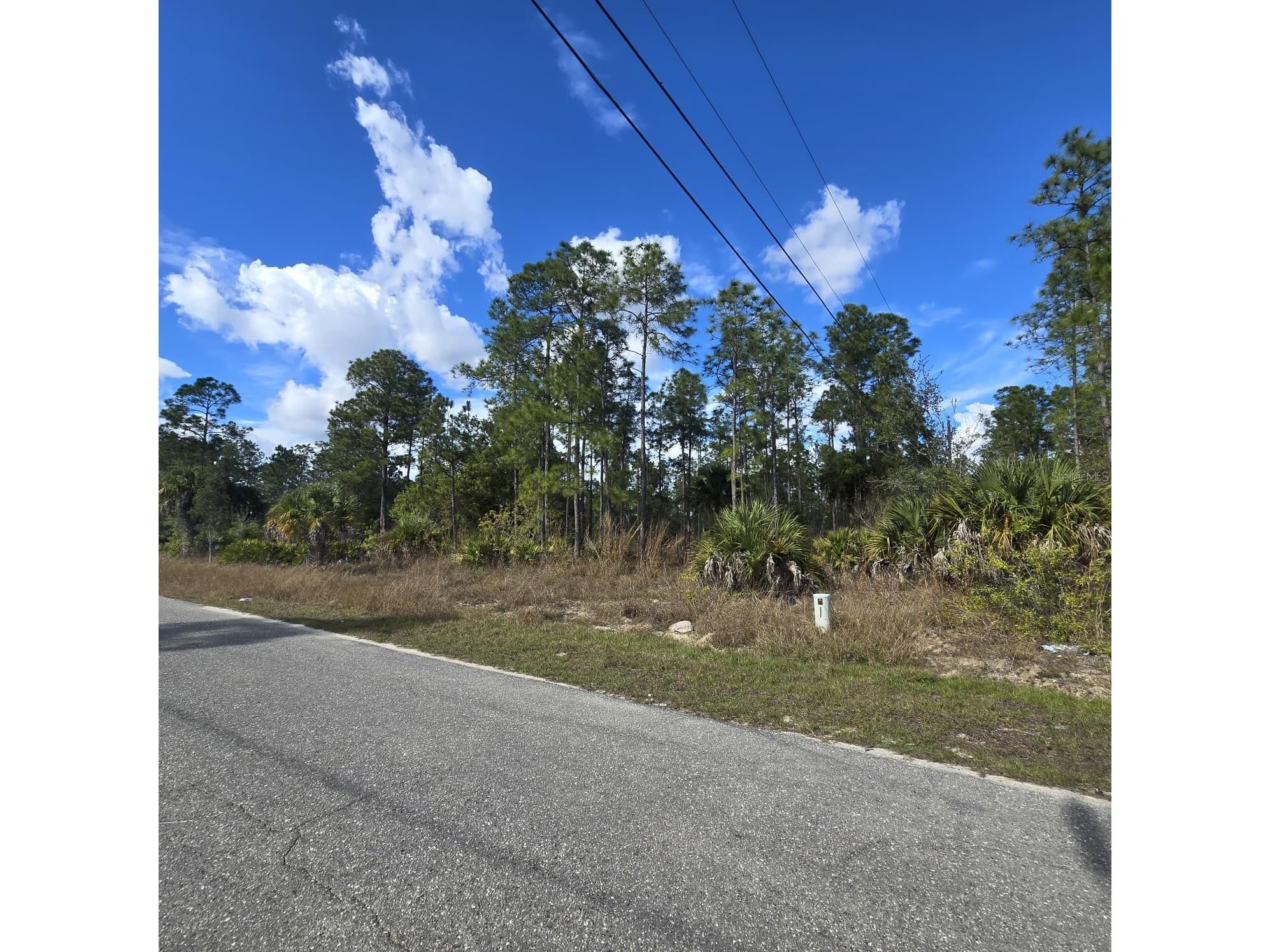 2603 E 13th Street Lehigh Acres FL 33972 O6381926 image3