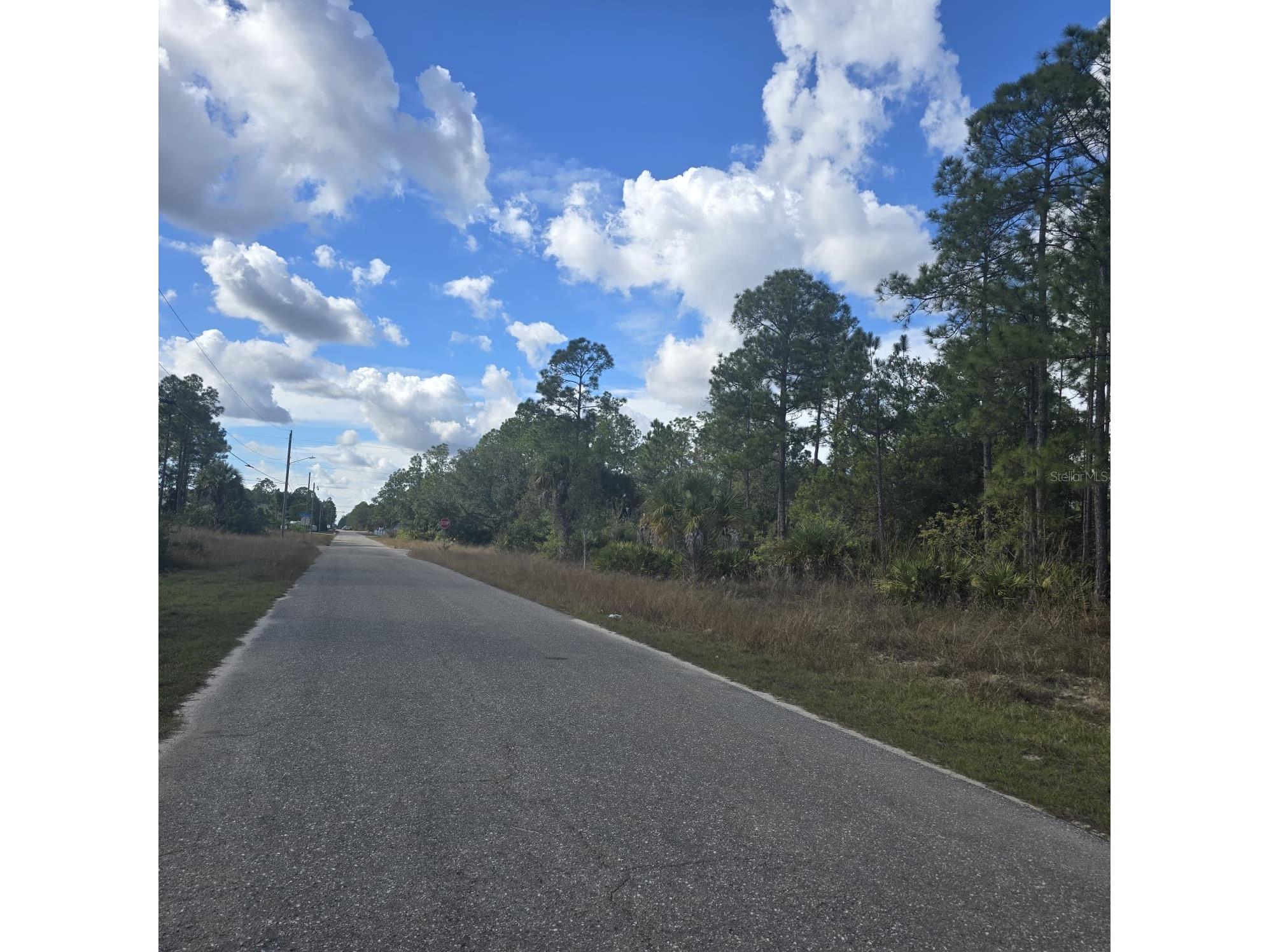 2603 E 13th Street Lehigh Acres FL 33972 O6381926 image5