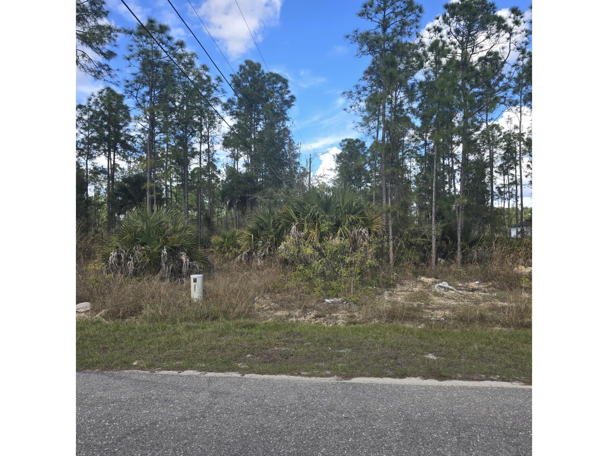 2603 E 13th Street Lehigh Acres FL 33972 O6381926 image6