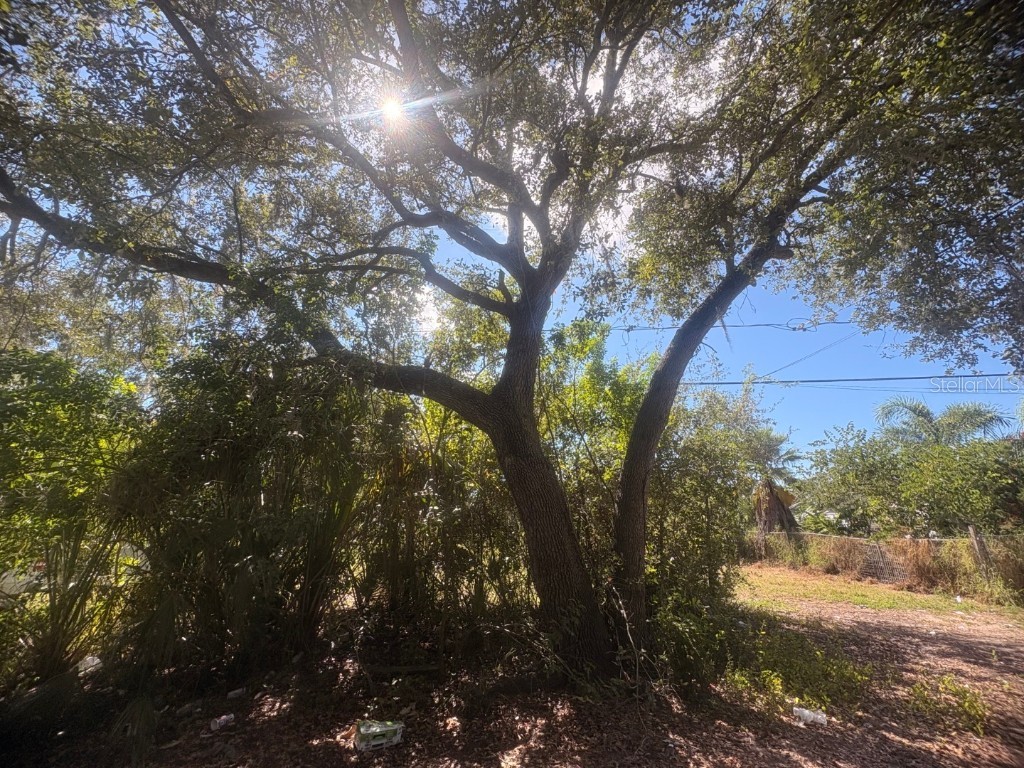 2603 Goldwyn Drive Ruskin FL 33570 TB8440930 image2