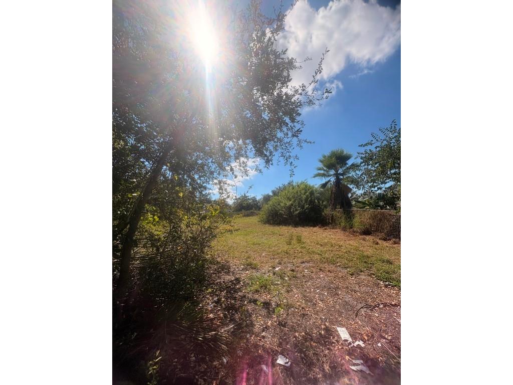 2603 Goldwyn Drive Ruskin FL 33570 TB8440930 image5