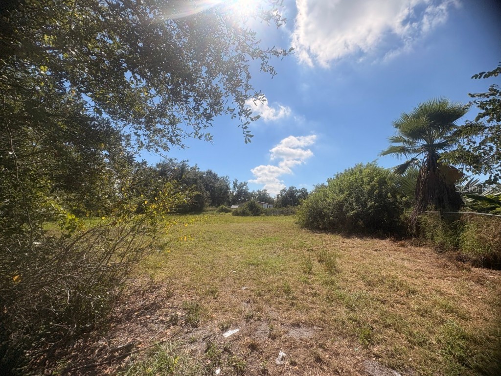 2603 Goldwyn Drive Ruskin FL 33570 TB8440930 image6