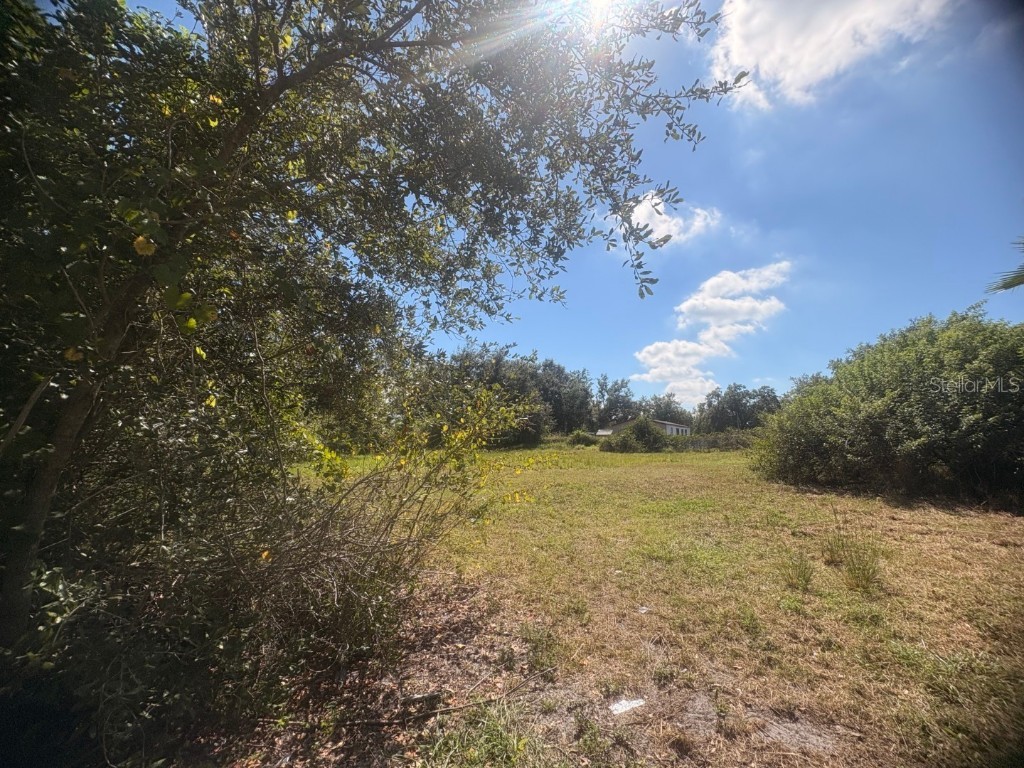 2603 Goldwyn Drive Ruskin FL 33570 TB8440930 image7