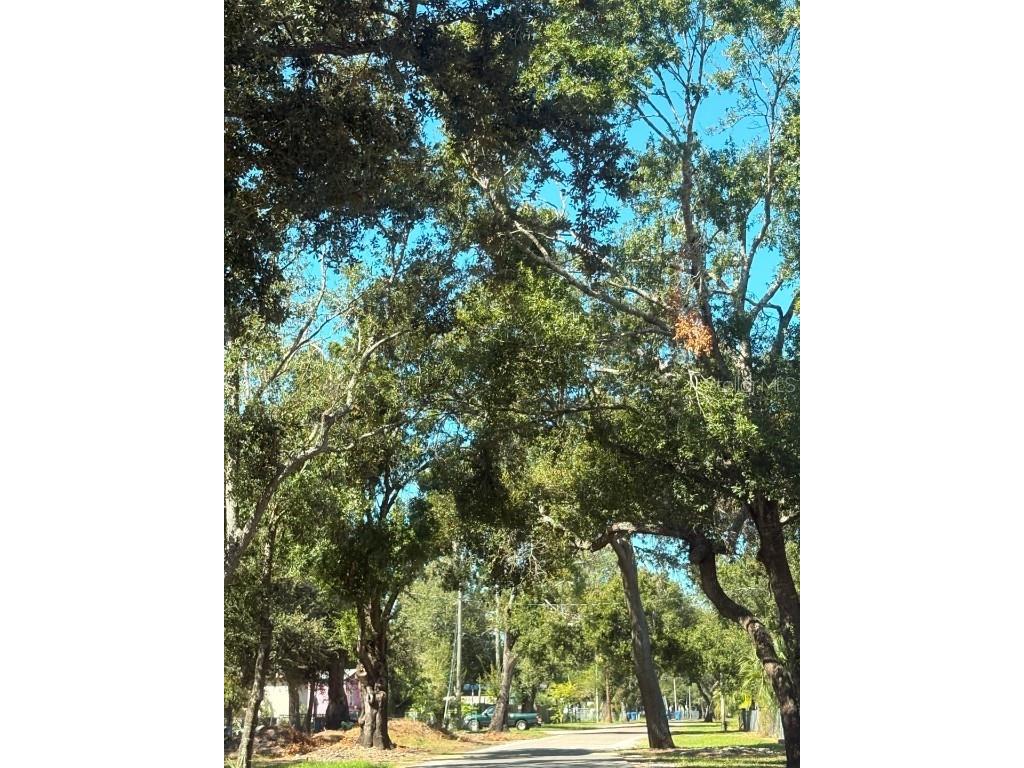 2603 Goldwyn Drive Ruskin FL 33570 TB8440930 image8