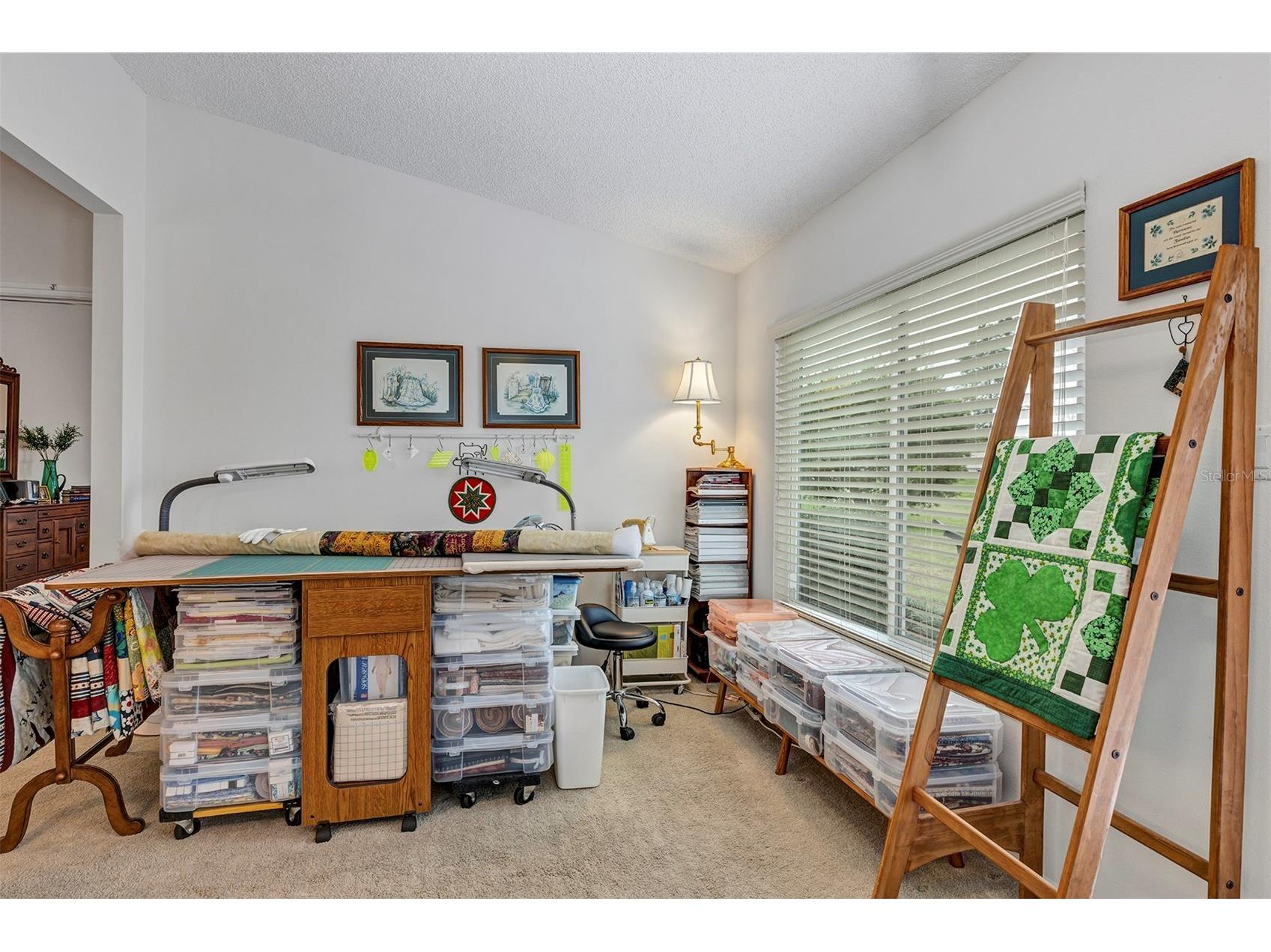26035 Oakmount Drive Leesburg FL 34748 G5109321 image22
