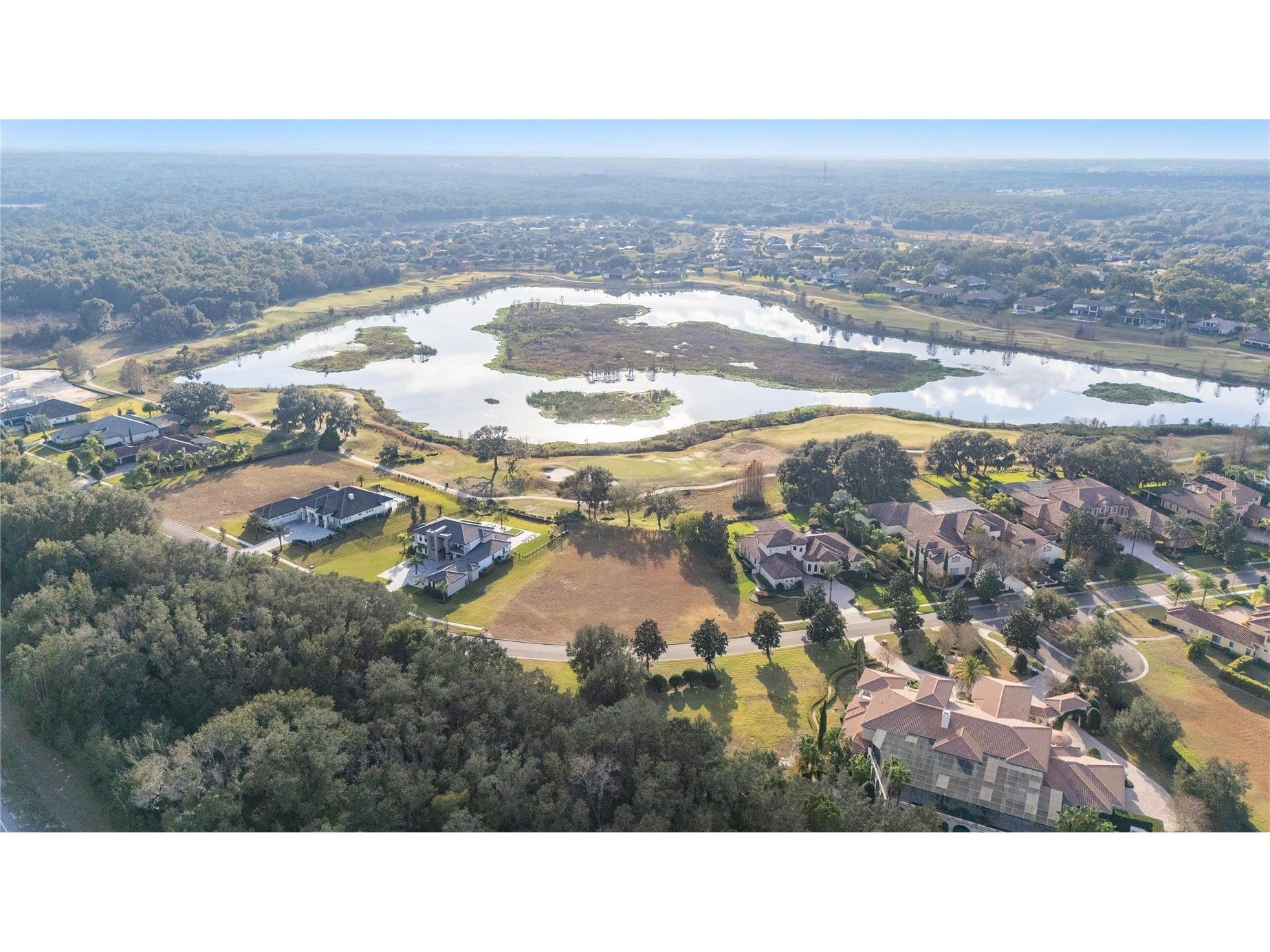 26038 Estates Ridge Drive Sorrento FL 32776 O6394654 image1