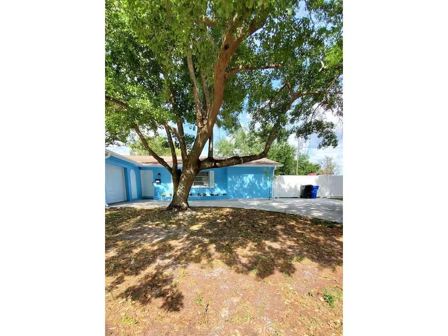 2604 Campus Hill Drive Tampa FL 33612 TB8452185 image1