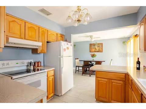 2604 Campus Hill Drive Tampa FL 33612 TB8452185 image6