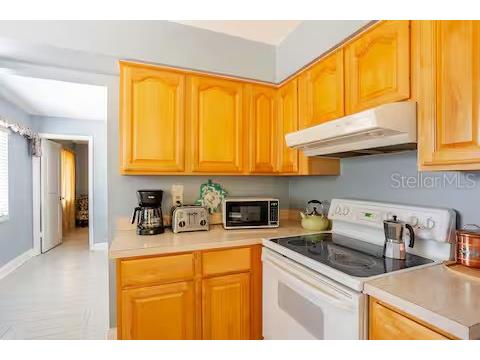 2604 Campus Hill Drive Tampa FL 33612 TB8452185 image7