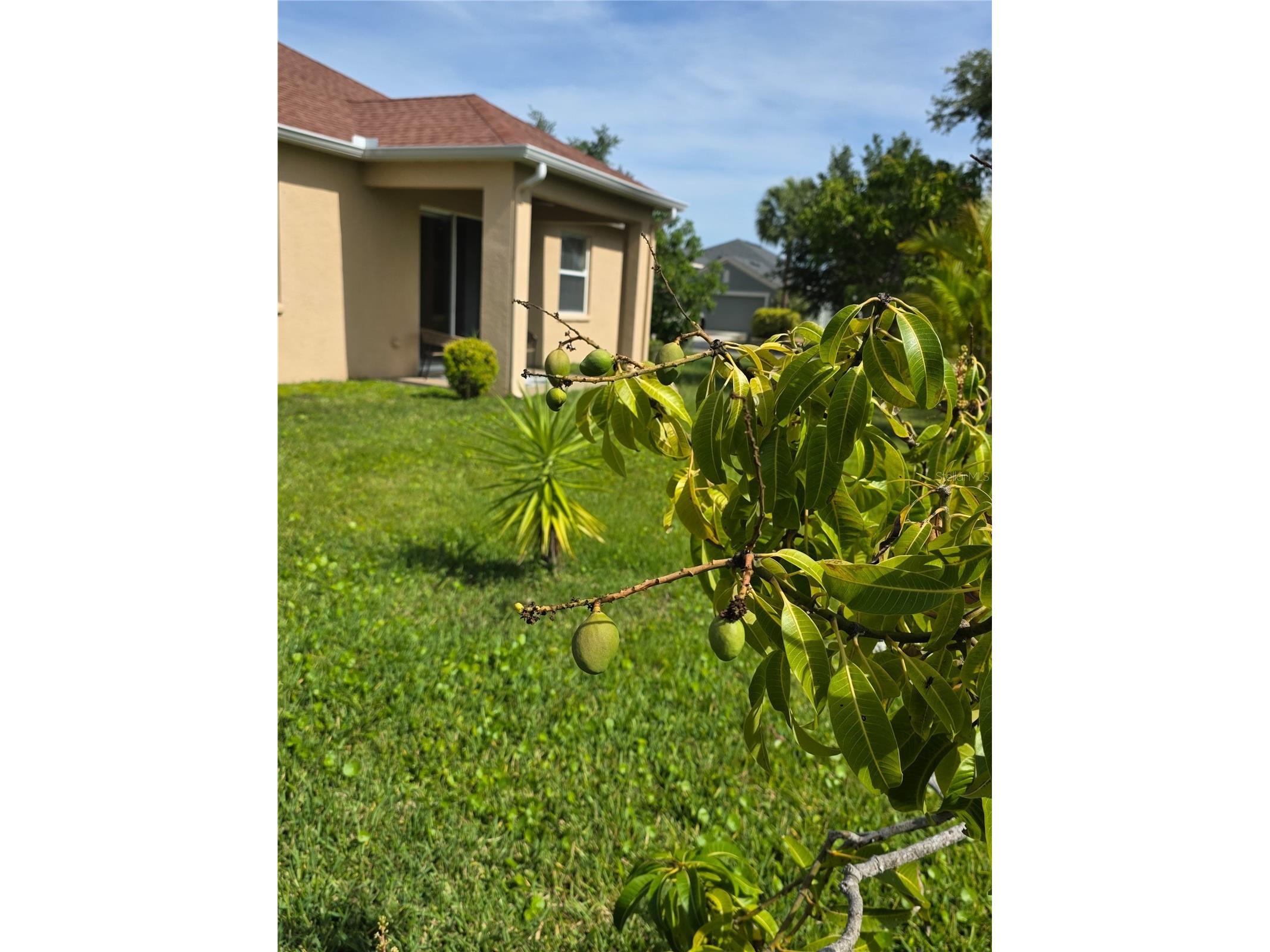 2604 Dakota Rock Drive Ruskin FL 33570 - LITTLE MANATEE RIVER AND LAKES TB8501881 image58